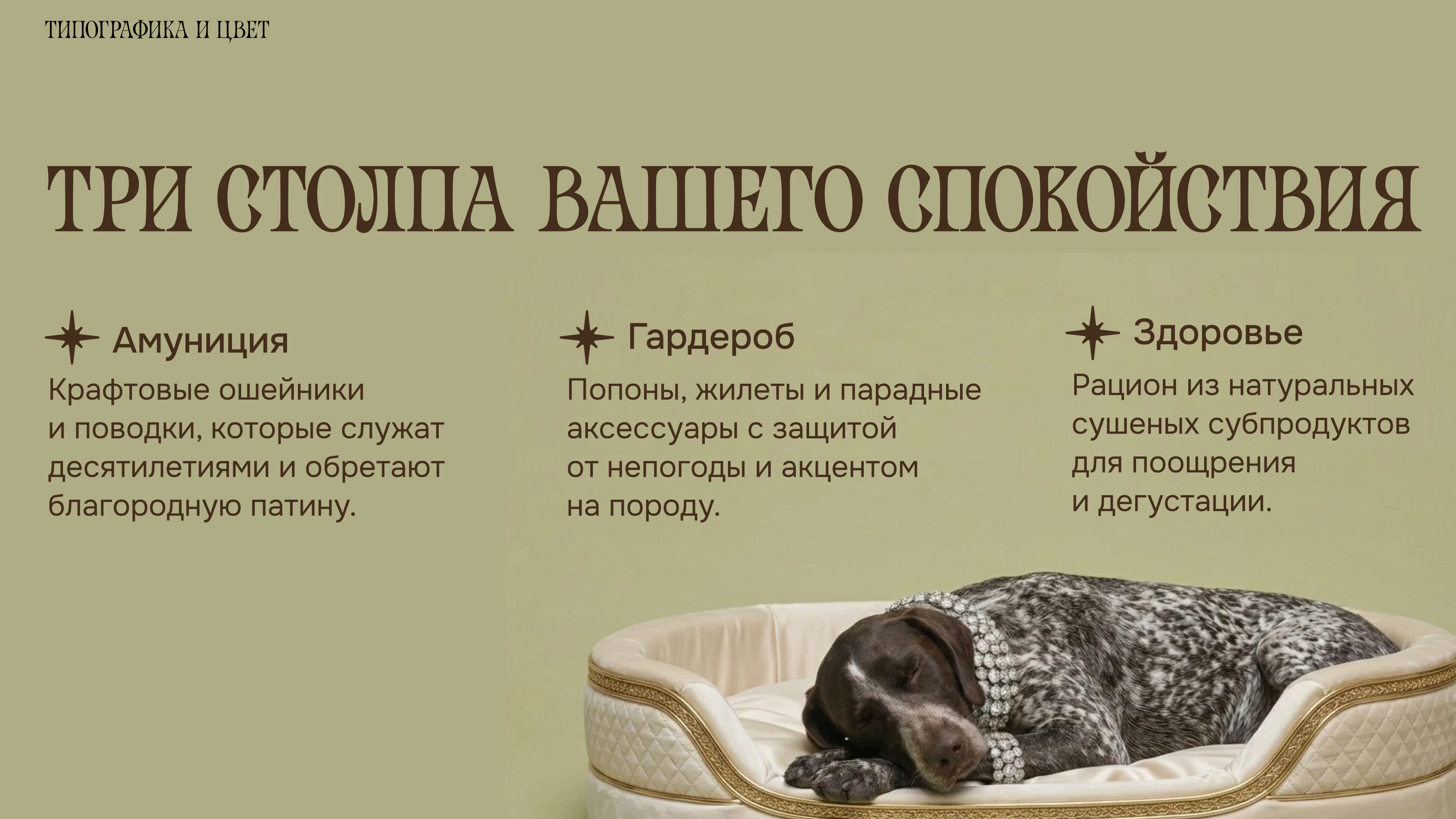 Фирменный стиль для магазина — Изображение №4 — Брендинг, Иллюстрация на Dprofile