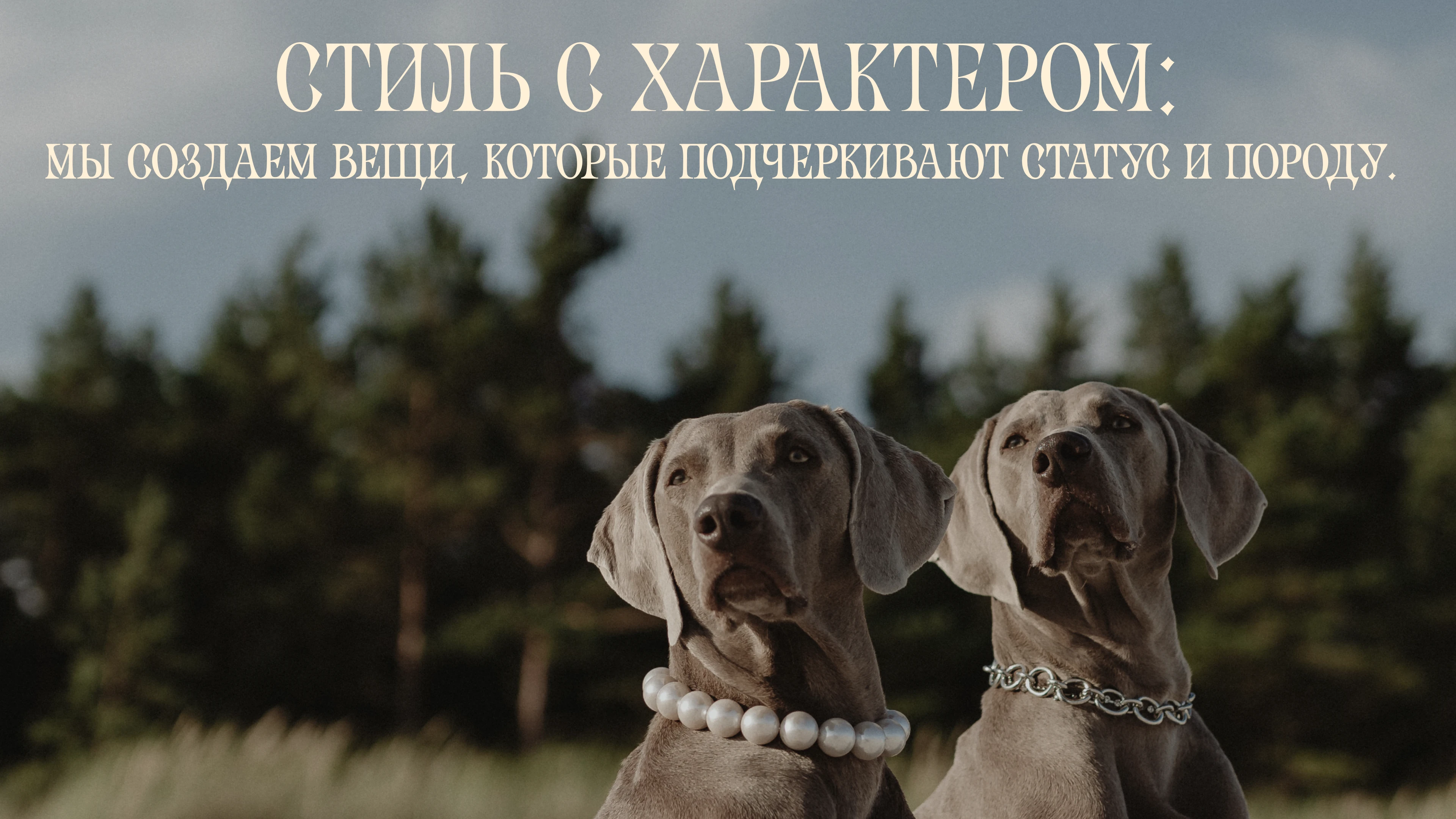 Фирменный стиль для магазина — Изображение №6 — Брендинг, Иллюстрация на Dprofile