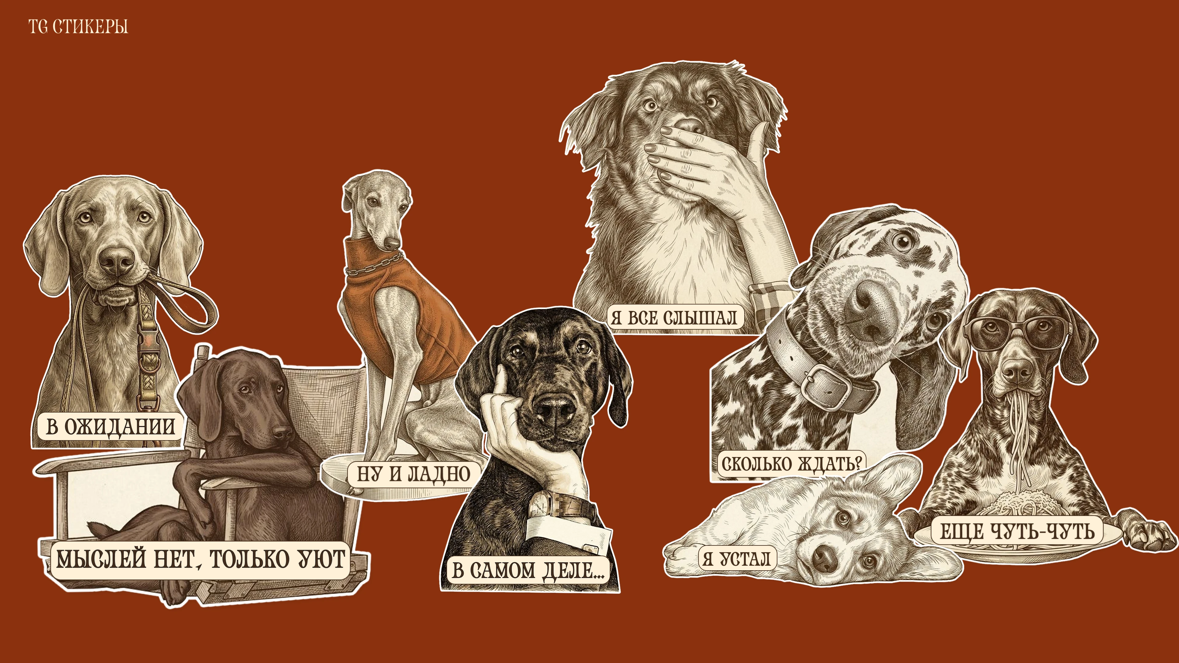 Фирменный стиль для магазина — Изображение №13 — Брендинг, Иллюстрация на Dprofile