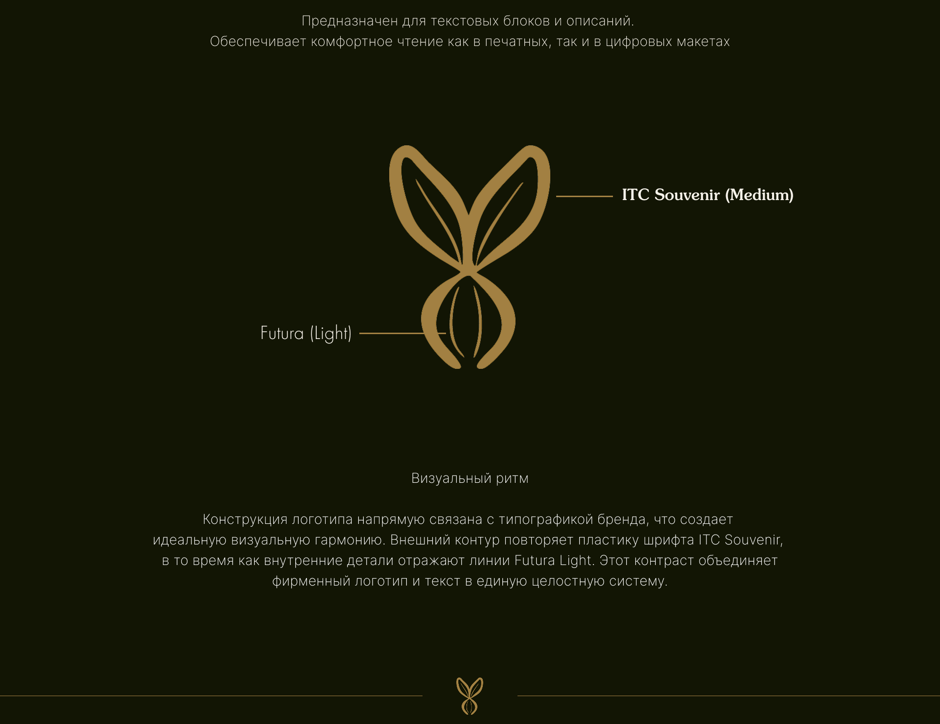 BRASSICA — премиальная квашеная капуста — Изображение №8 — Брендинг на Dprofile