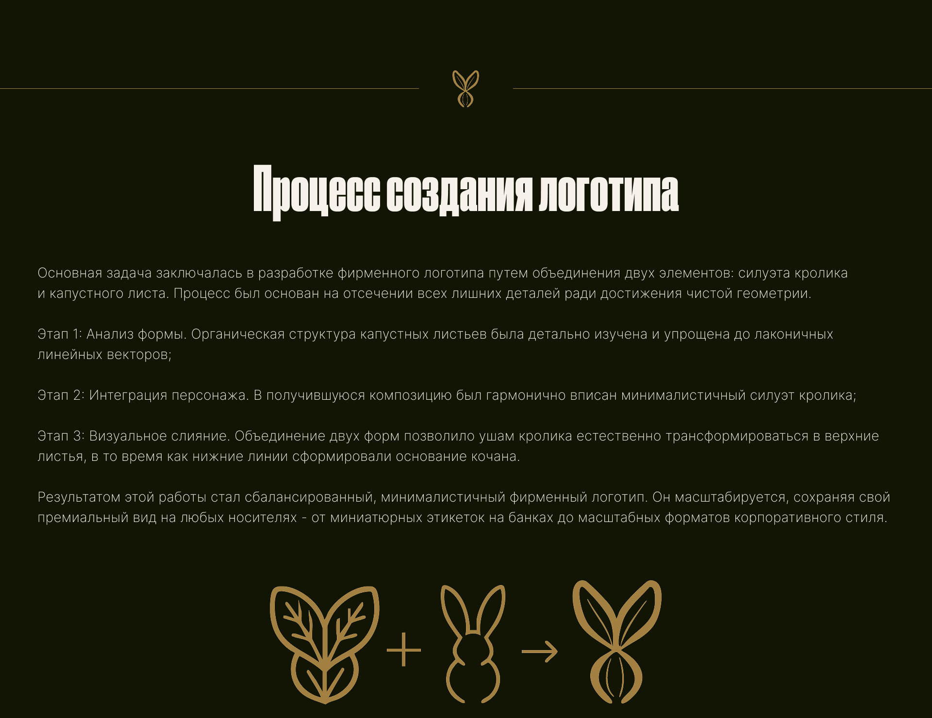 BRASSICA — премиальная квашеная капуста — Изображение №5 — Брендинг на Dprofile