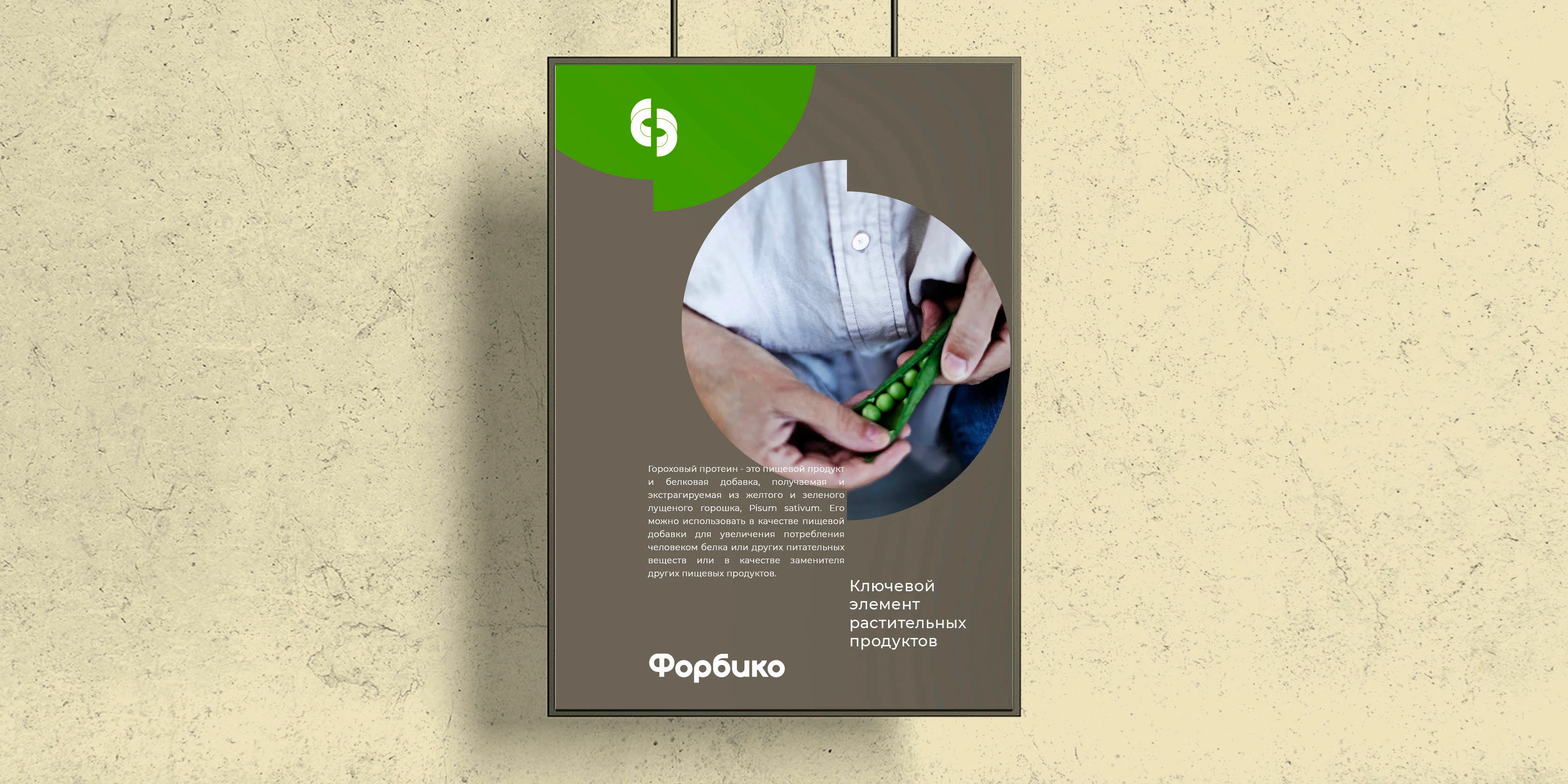 Форбико — Изображение №2 — Брендинг на Dprofile