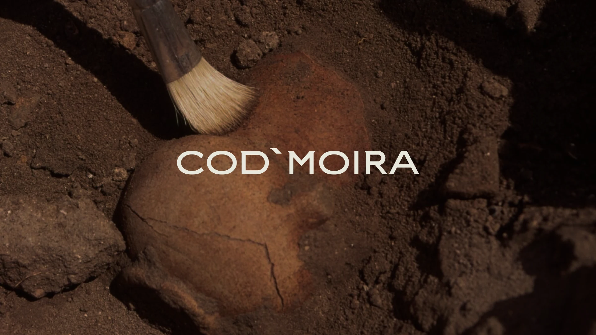 Cod'moira. Identity — Изображение №1 — Брендинг на Dprofile