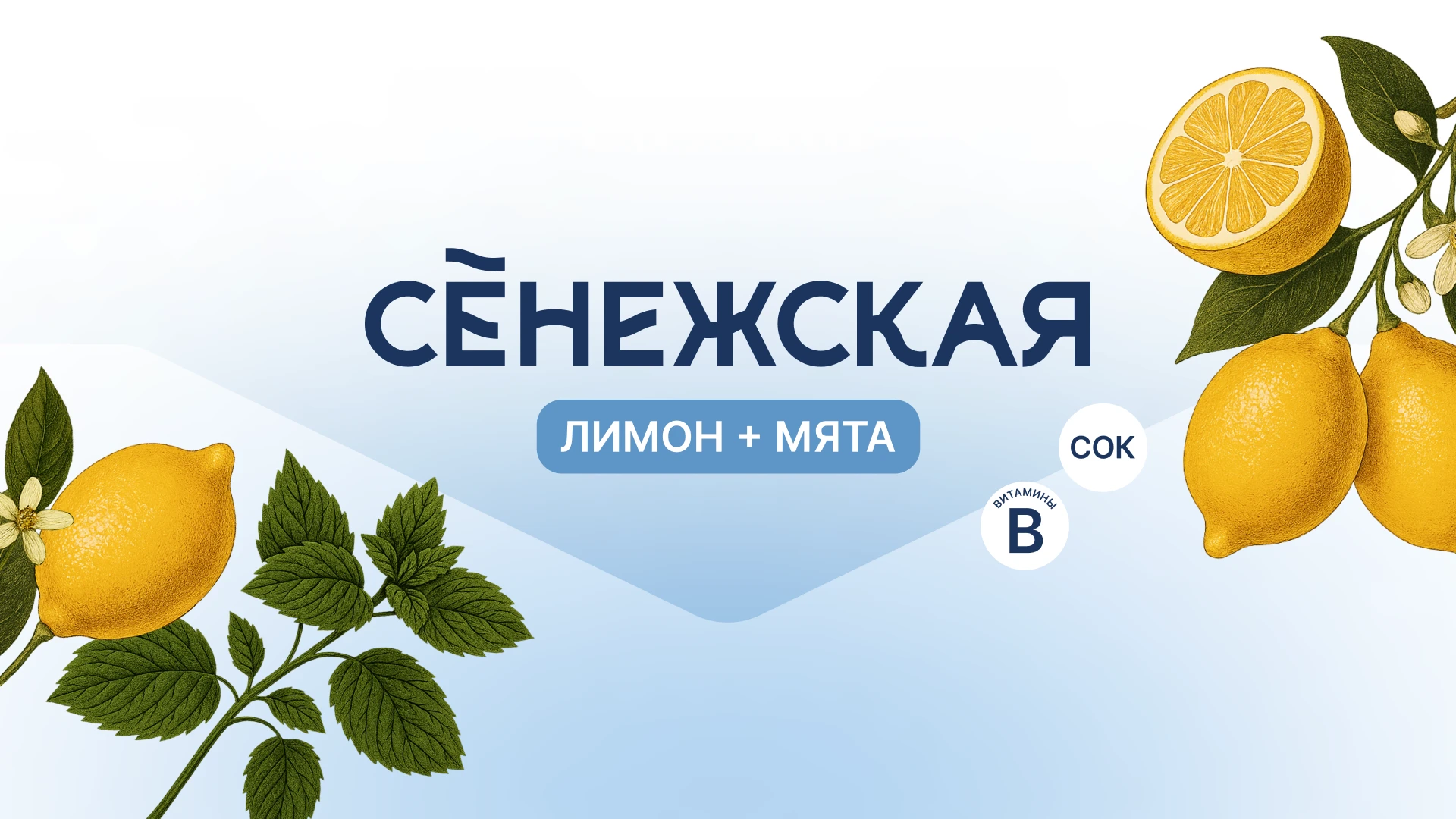 Ребрендинг «Сенежская» — Изображение №25 — Брендинг на Dprofile