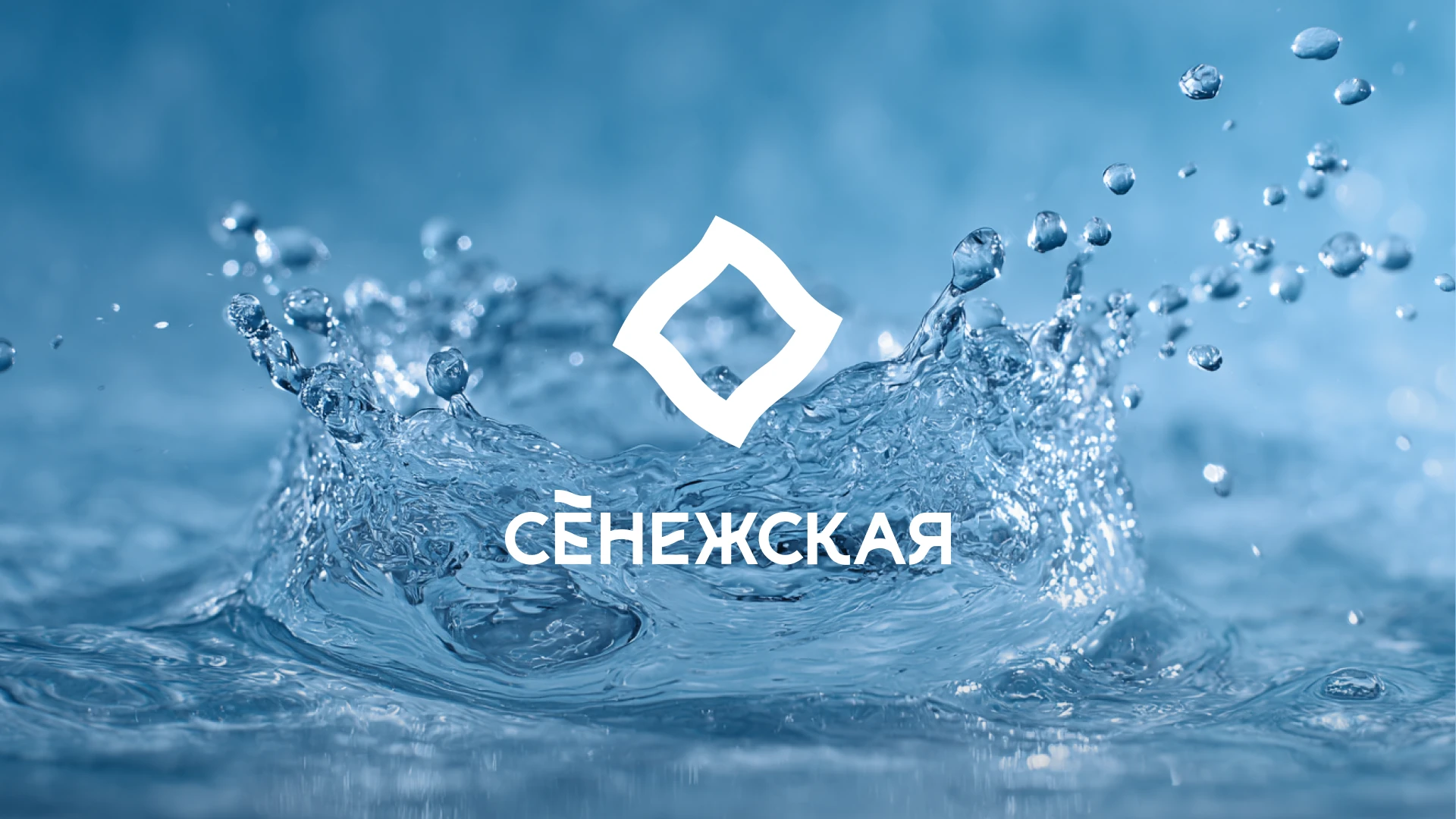 Ребрендинг «Сенежская» — Изображение №10 — Брендинг на Dprofile