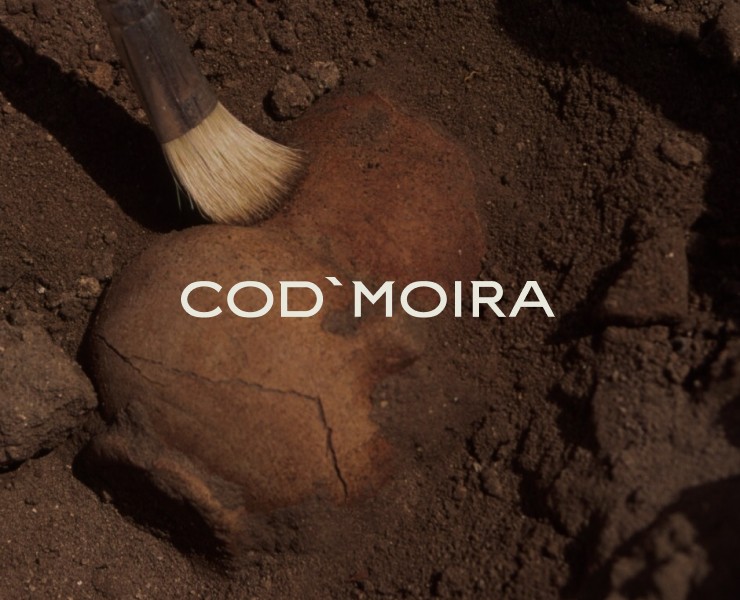 Cod'moira. Identity на Dprofile