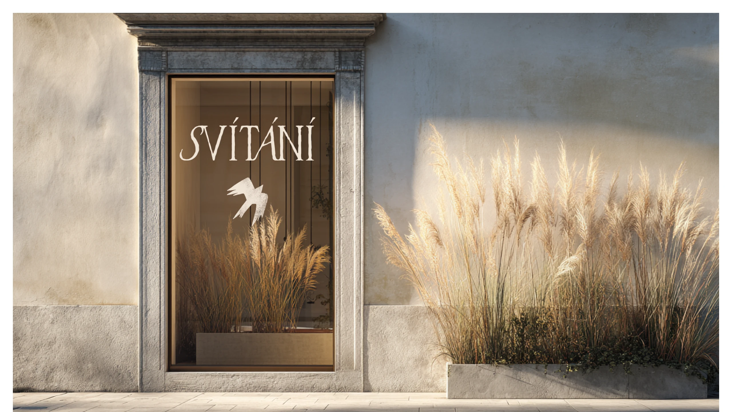 SVITANI — Изображение №9 — Брендинг на Dprofile
