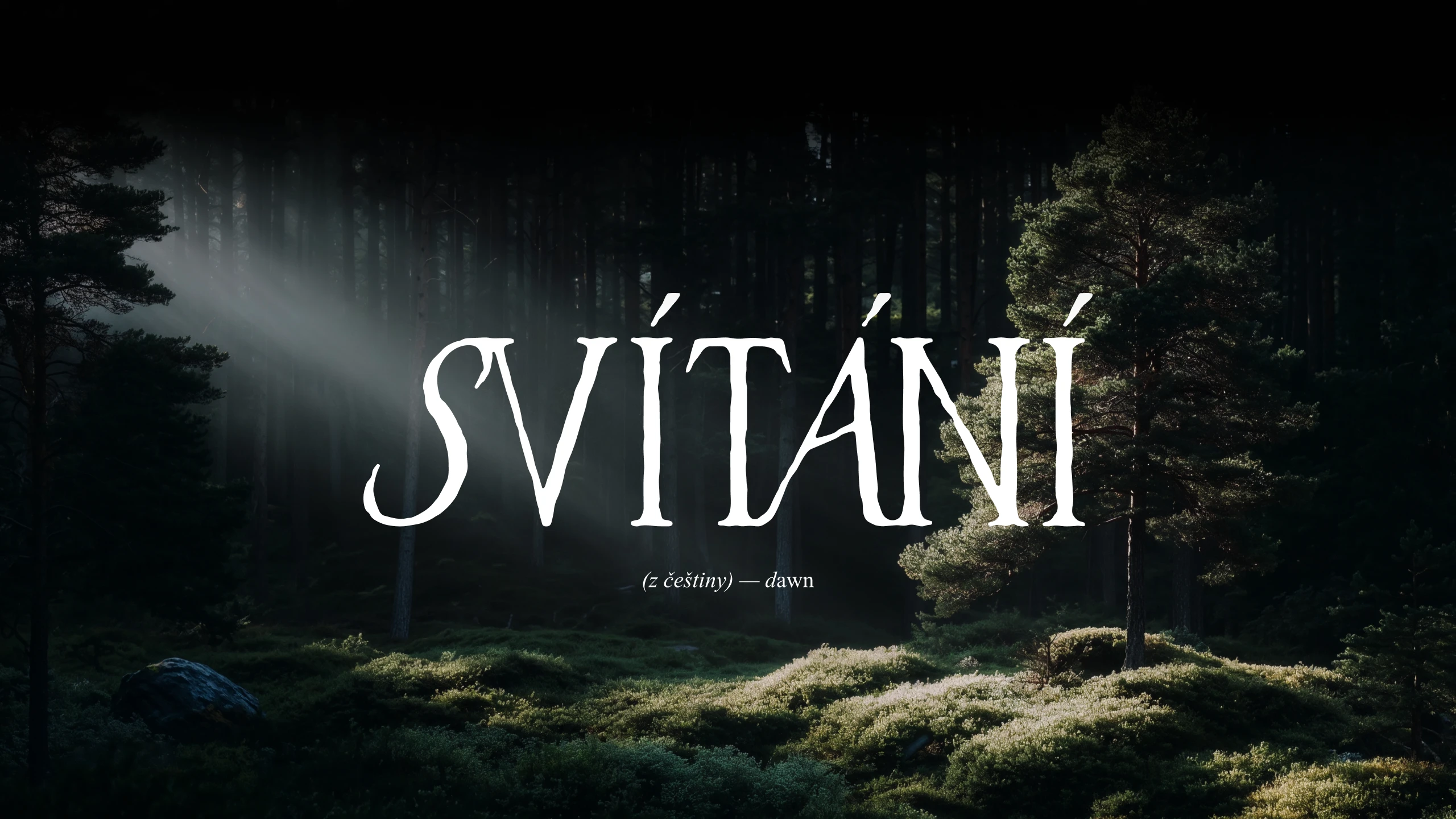 SVITANI — Изображение №4 — Брендинг на Dprofile
