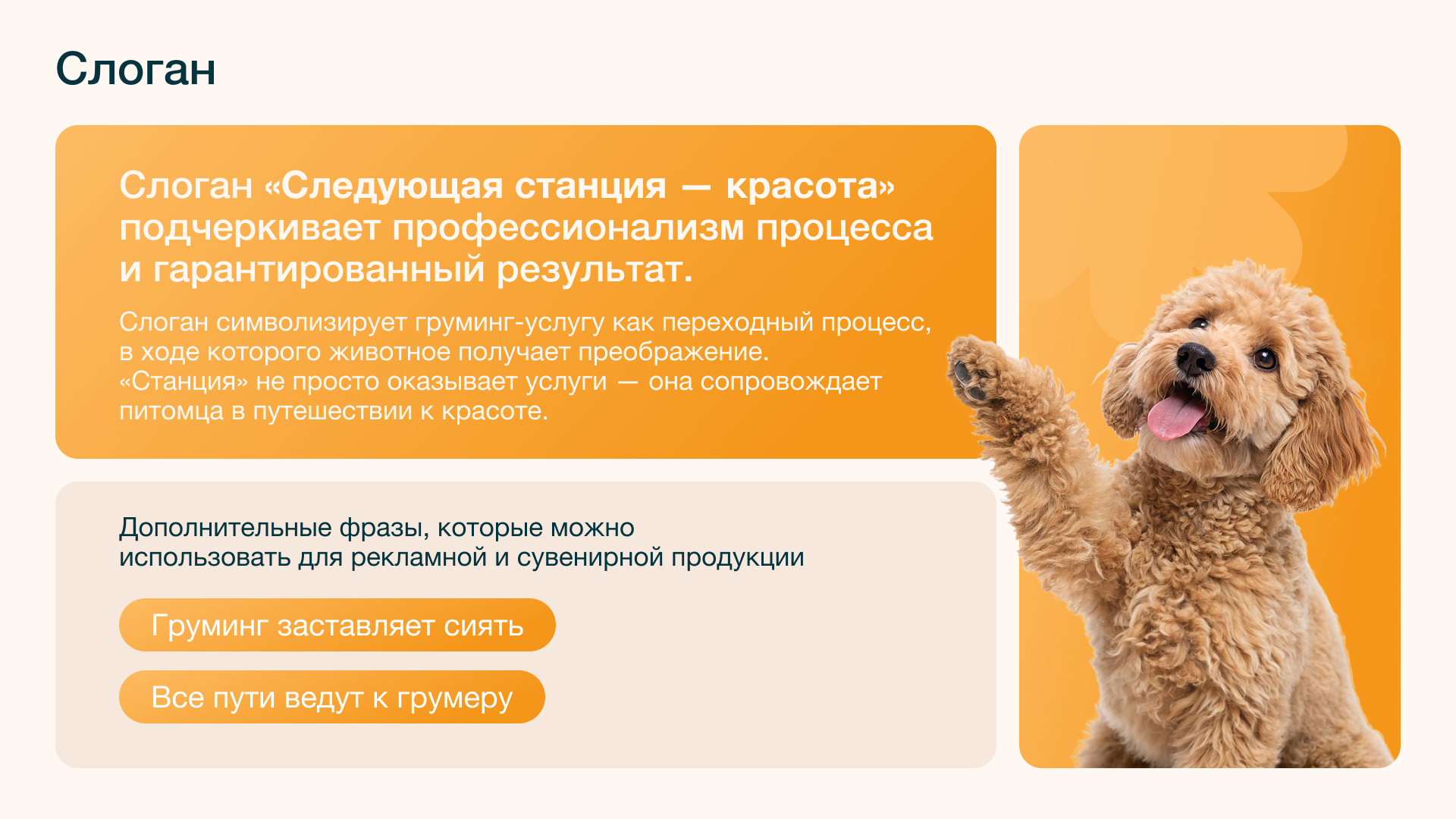 Фирменный стиль груминг-салона — Изображение №6 — Брендинг, Графика на Dprofile