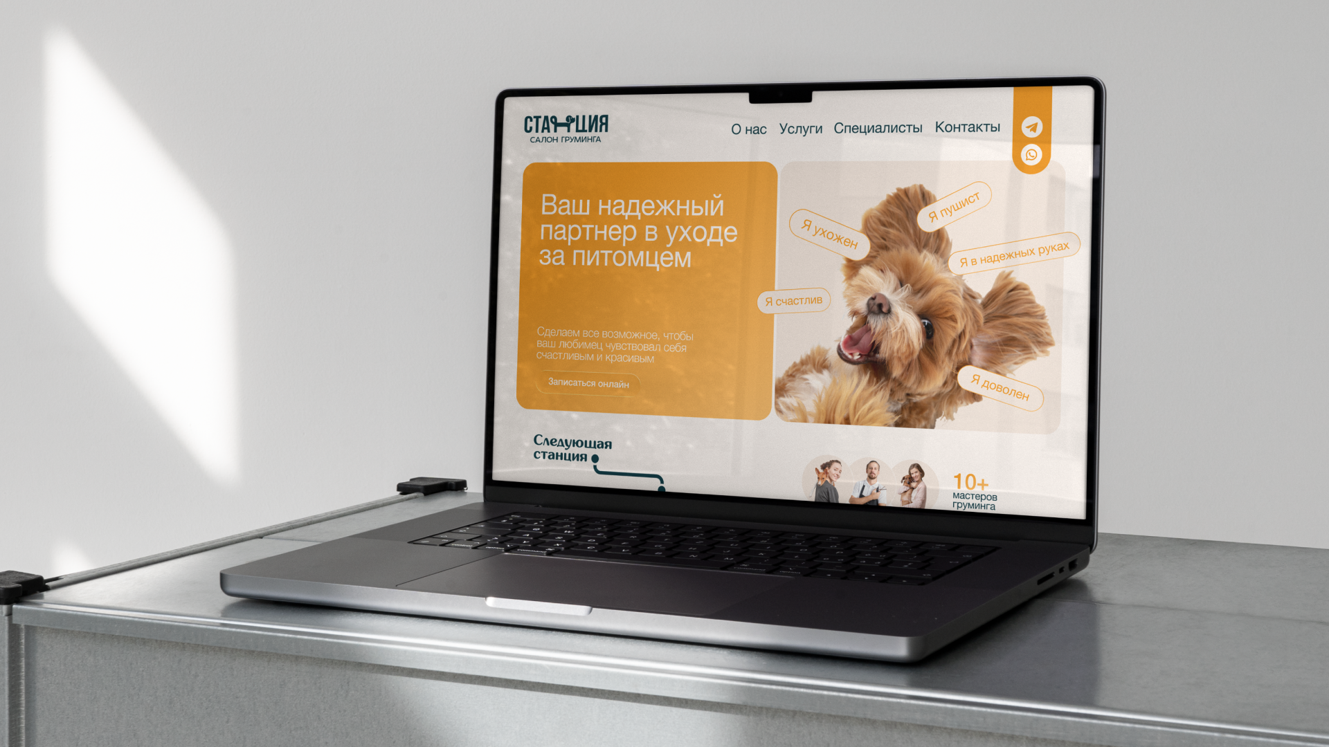 Фирменный стиль груминг-салона — Изображение №16 — Брендинг, Графика на Dprofile