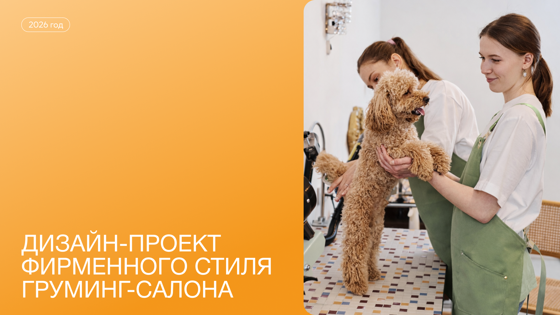 Фирменный стиль груминг-салона — Изображение №1 — Брендинг, Графика на Dprofile