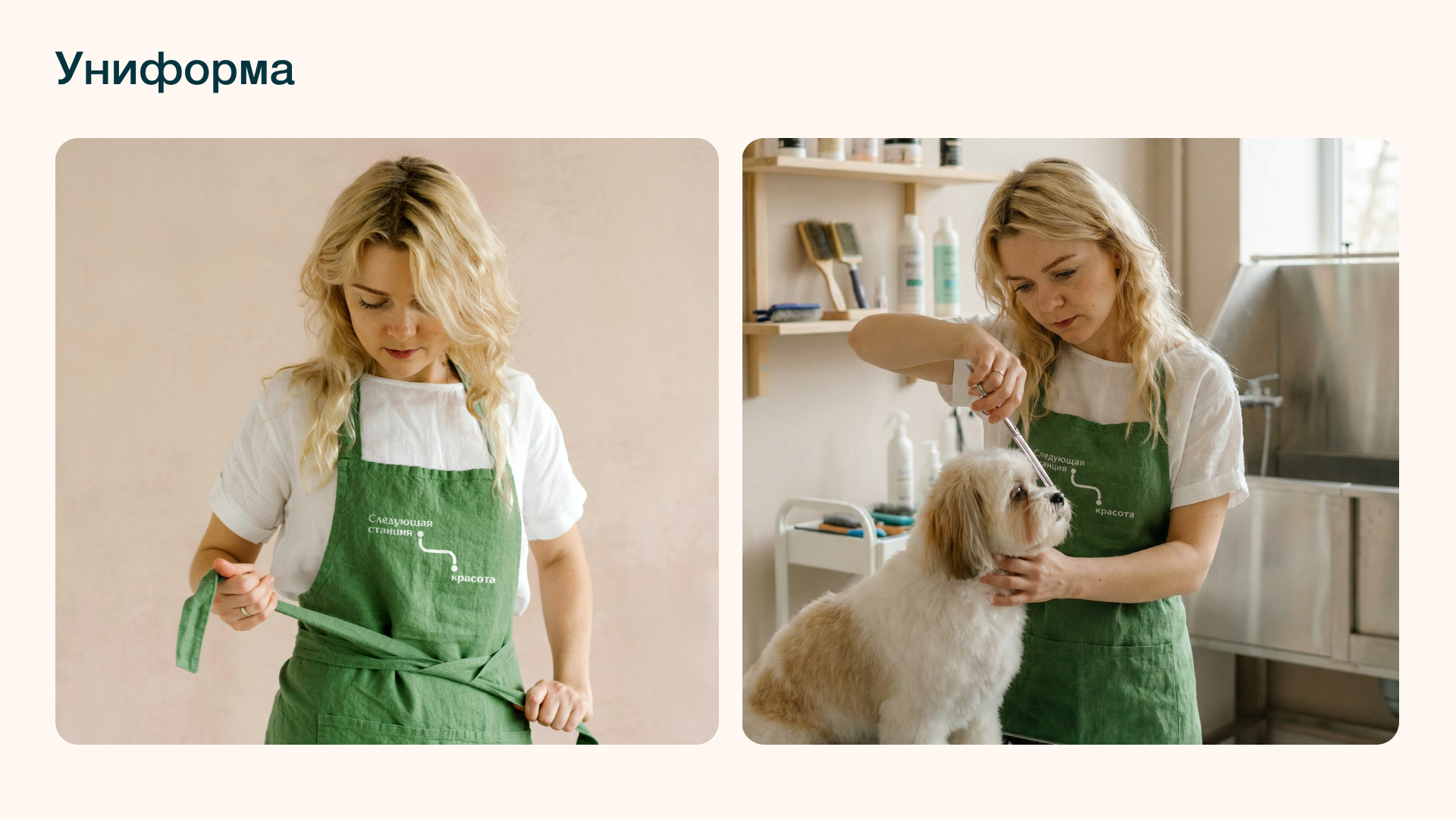 Фирменный стиль груминг-салона — Изображение №13 — Брендинг, Графика на Dprofile