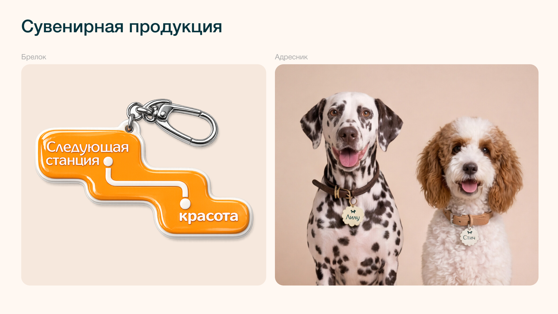 Фирменный стиль груминг-салона — Изображение №14 — Брендинг, Графика на Dprofile