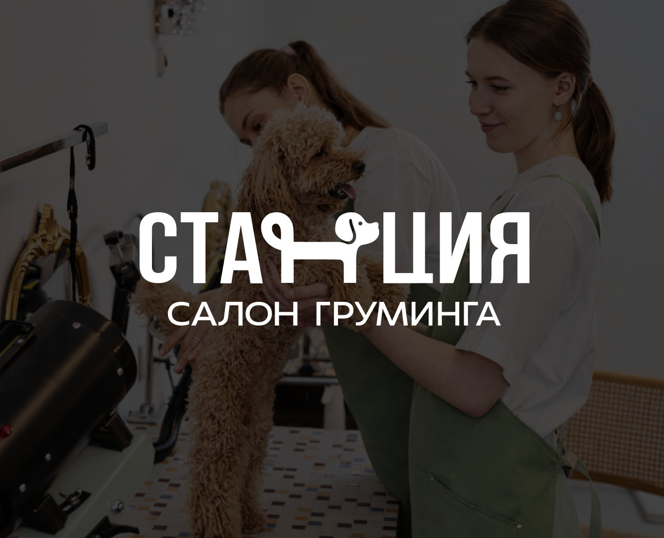 Фирменный стиль груминг-салона — Брендинг, Графика на Dprofile