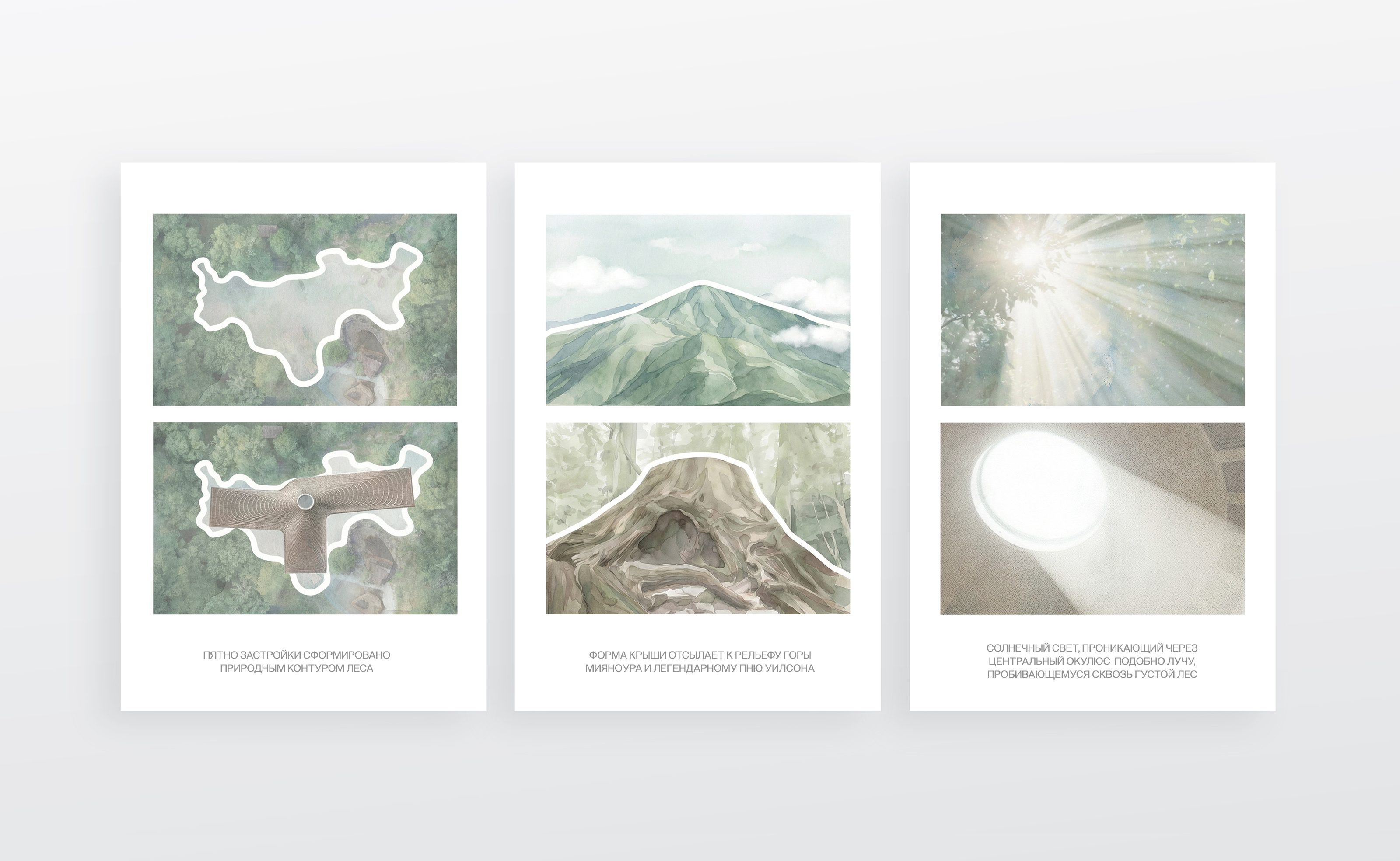 The Eye of the Forest — Изображение №3 — Архитектура на Dprofile