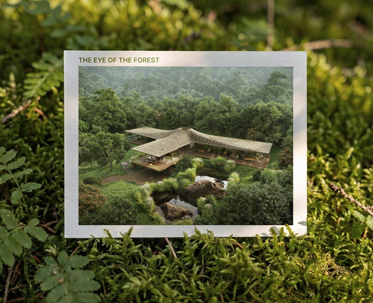 The Eye of the Forest на Dprofile