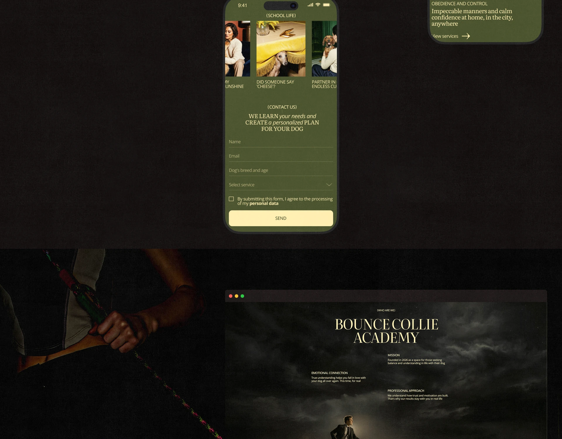 Bounce Collie | Dog Academy Website UI/UX — Изображение №6 — Интерфейсы, Брендинг на Dprofile