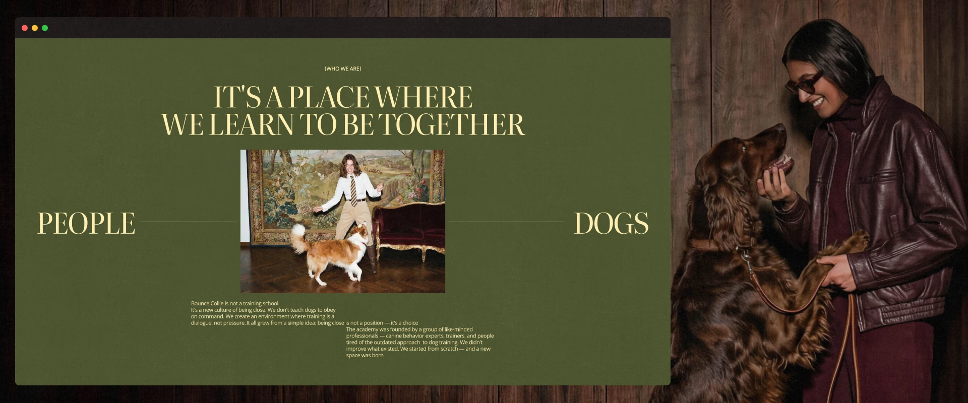 Bounce Collie | Dog Academy Website UI/UX — Изображение №15 — Интерфейсы, Брендинг на Dprofile