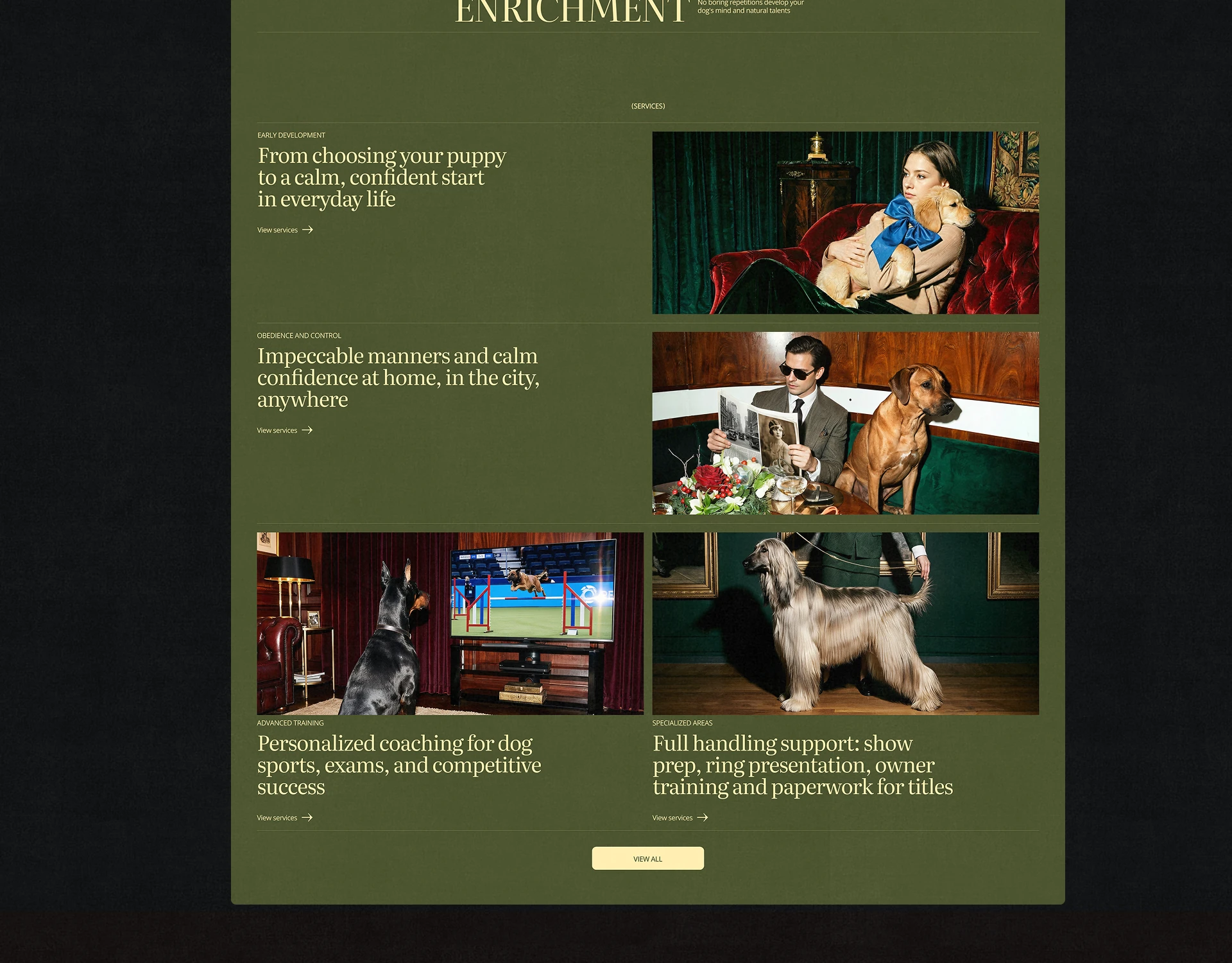 Bounce Collie | Dog Academy Website UI/UX — Изображение №4 — Интерфейсы, Брендинг на Dprofile