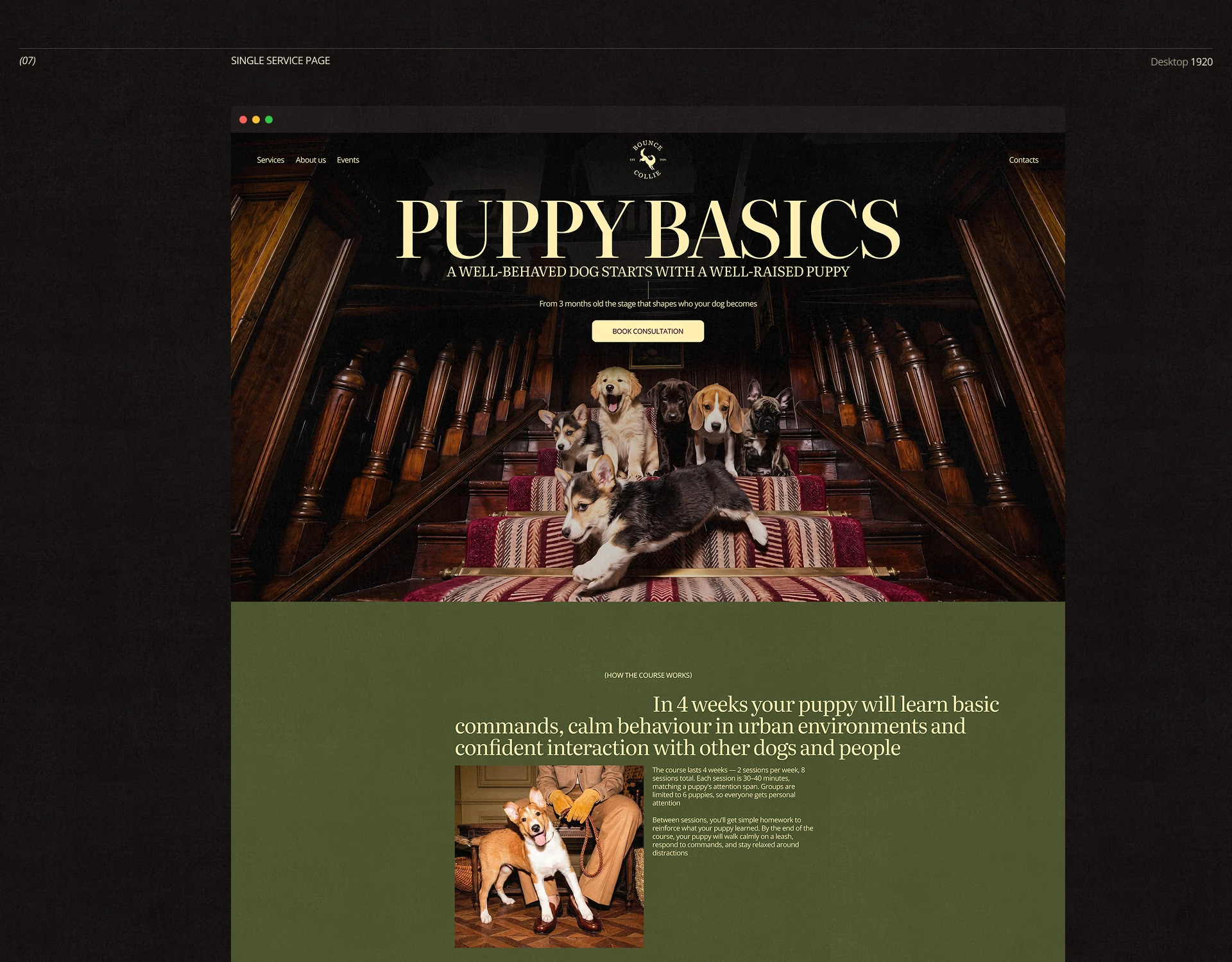 Bounce Collie | Dog Academy Website UI/UX — Изображение №18 — Интерфейсы, Брендинг на Dprofile