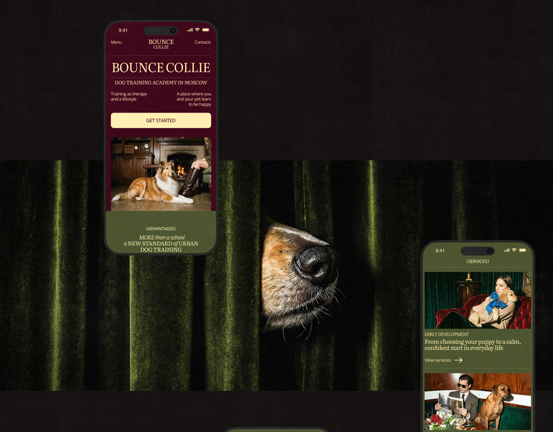 Bounce Collie | Dog Academy Website UI/UX — Изображение №5 — Интерфейсы, Брендинг на Dprofile
