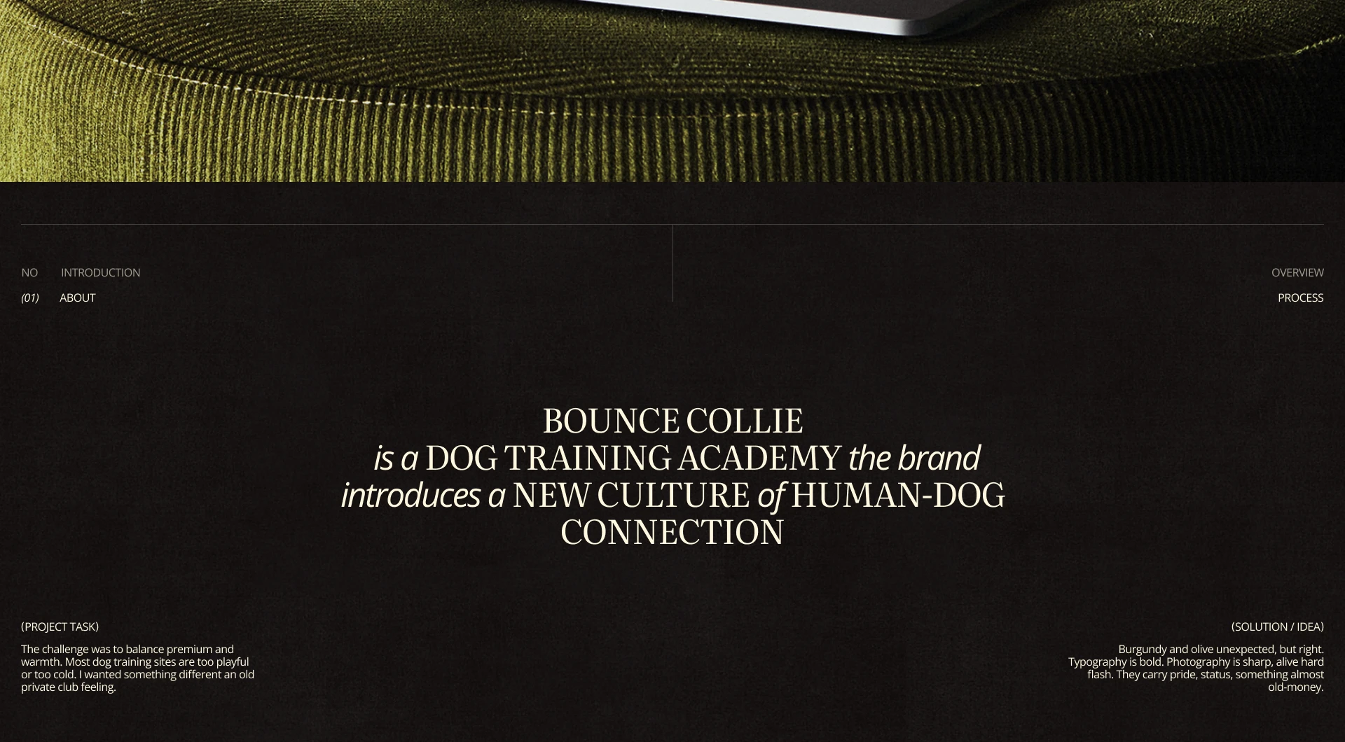 Bounce Collie | Dog Academy Website UI/UX — Изображение №2 — Интерфейсы, Брендинг на Dprofile