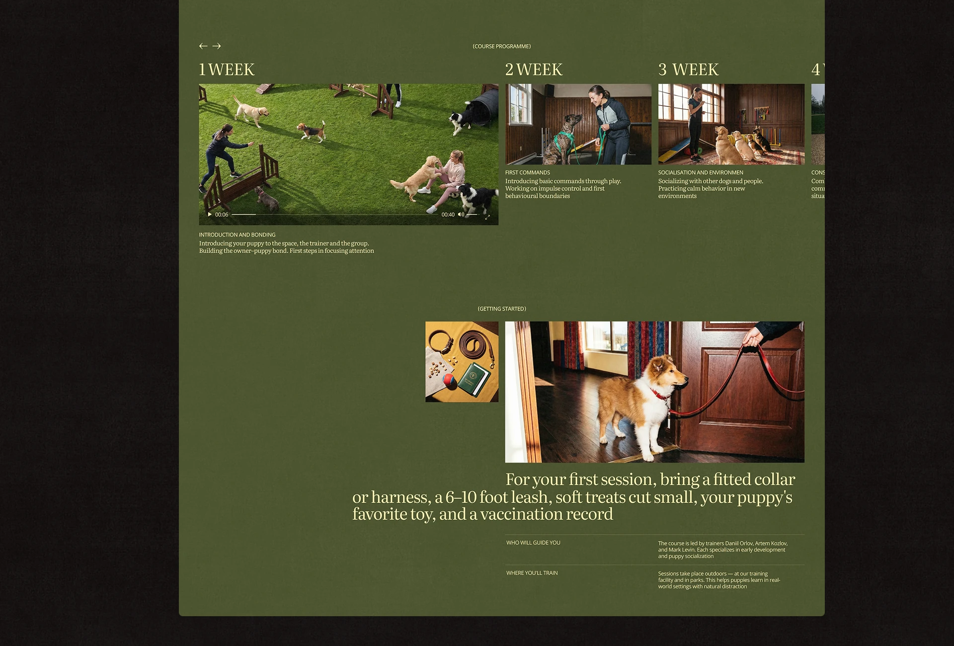 Bounce Collie | Dog Academy Website UI/UX — Изображение №19 — Интерфейсы, Брендинг на Dprofile