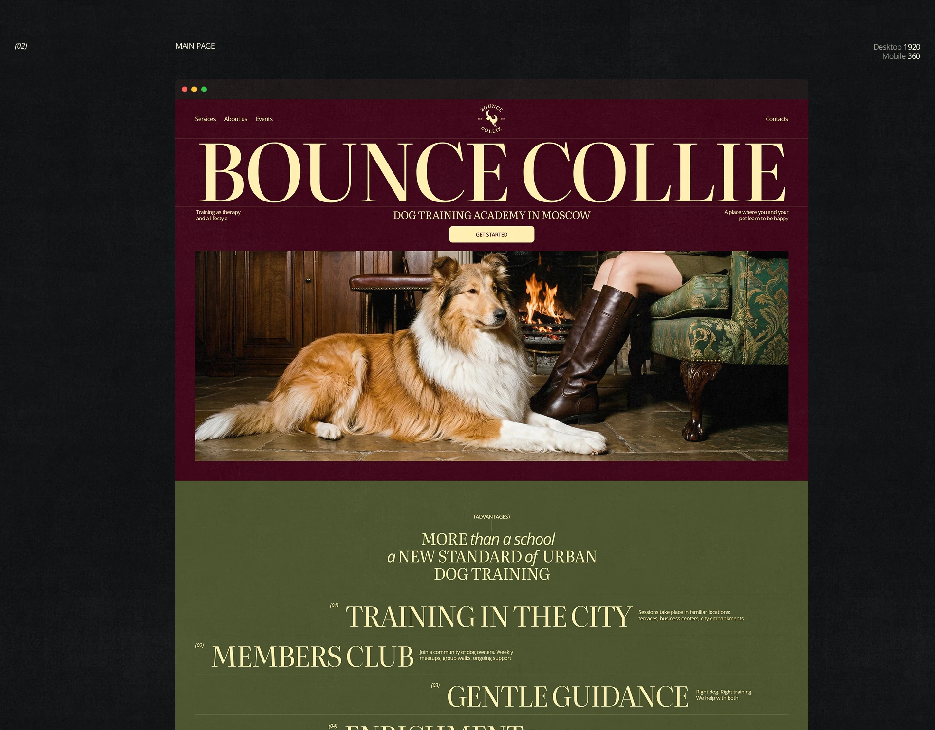 Bounce Collie | Dog Academy Website UI/UX — Изображение №3 — Интерфейсы, Брендинг на Dprofile