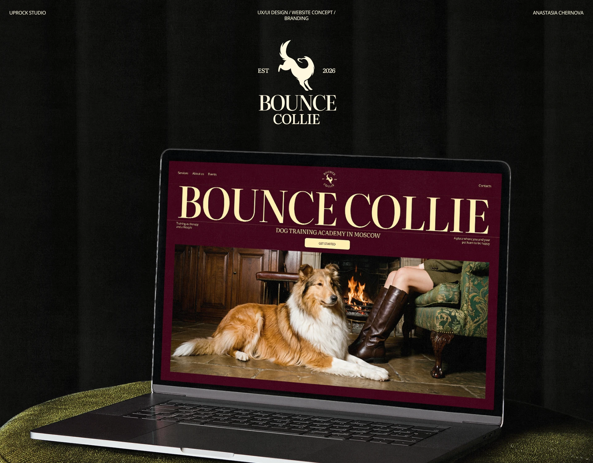 Bounce Collie | Dog Academy Website UI/UX — Изображение №1 — Интерфейсы, Брендинг на Dprofile