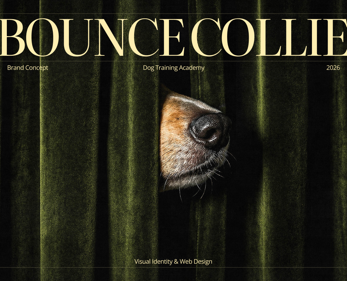 Bounce Collie | Dog Academy Website UI/UX — Интерфейсы, Брендинг на Dprofile