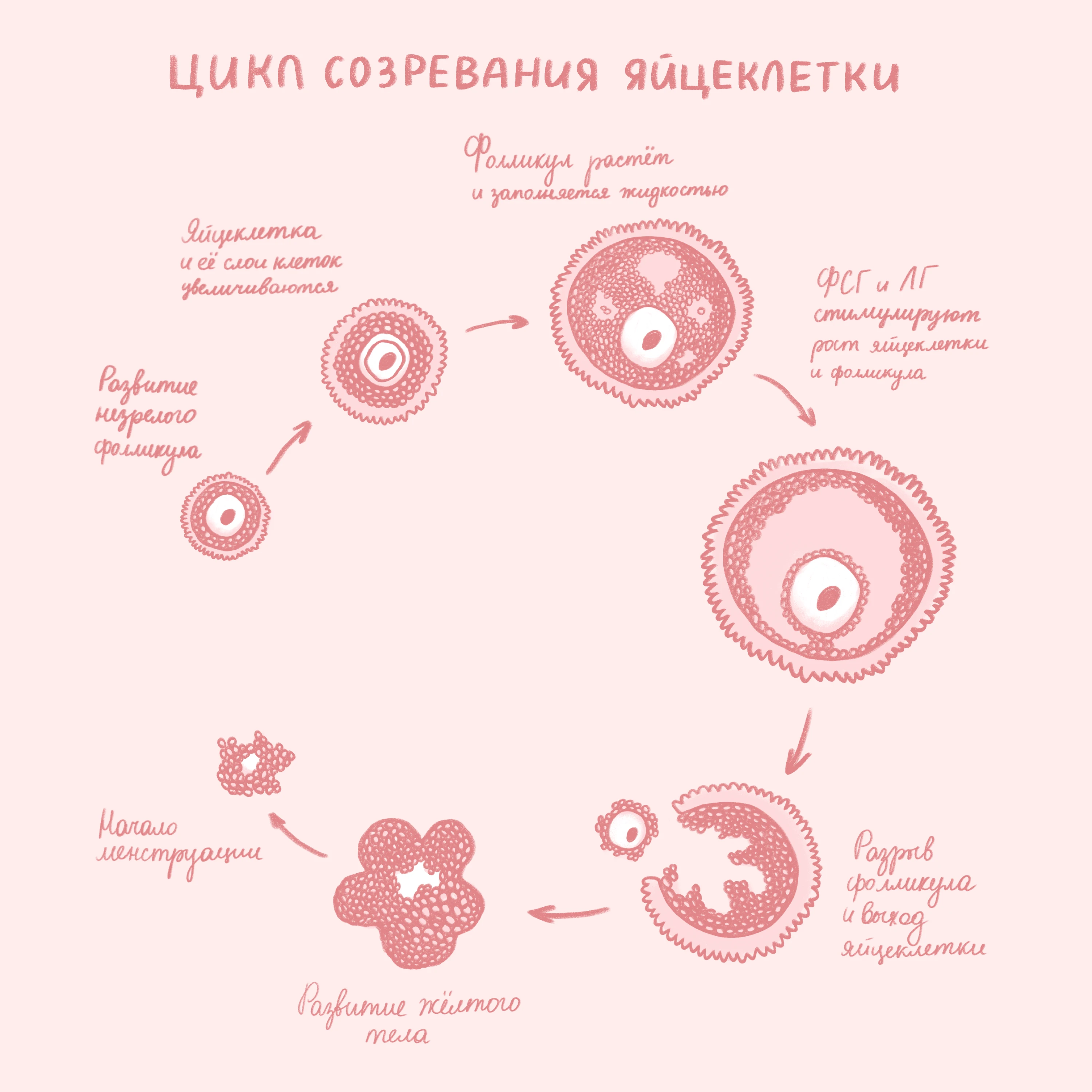 SMM / illustration / design / content / Медицина — Изображение №4 — Иллюстрация, Маркетинг на Dprofile