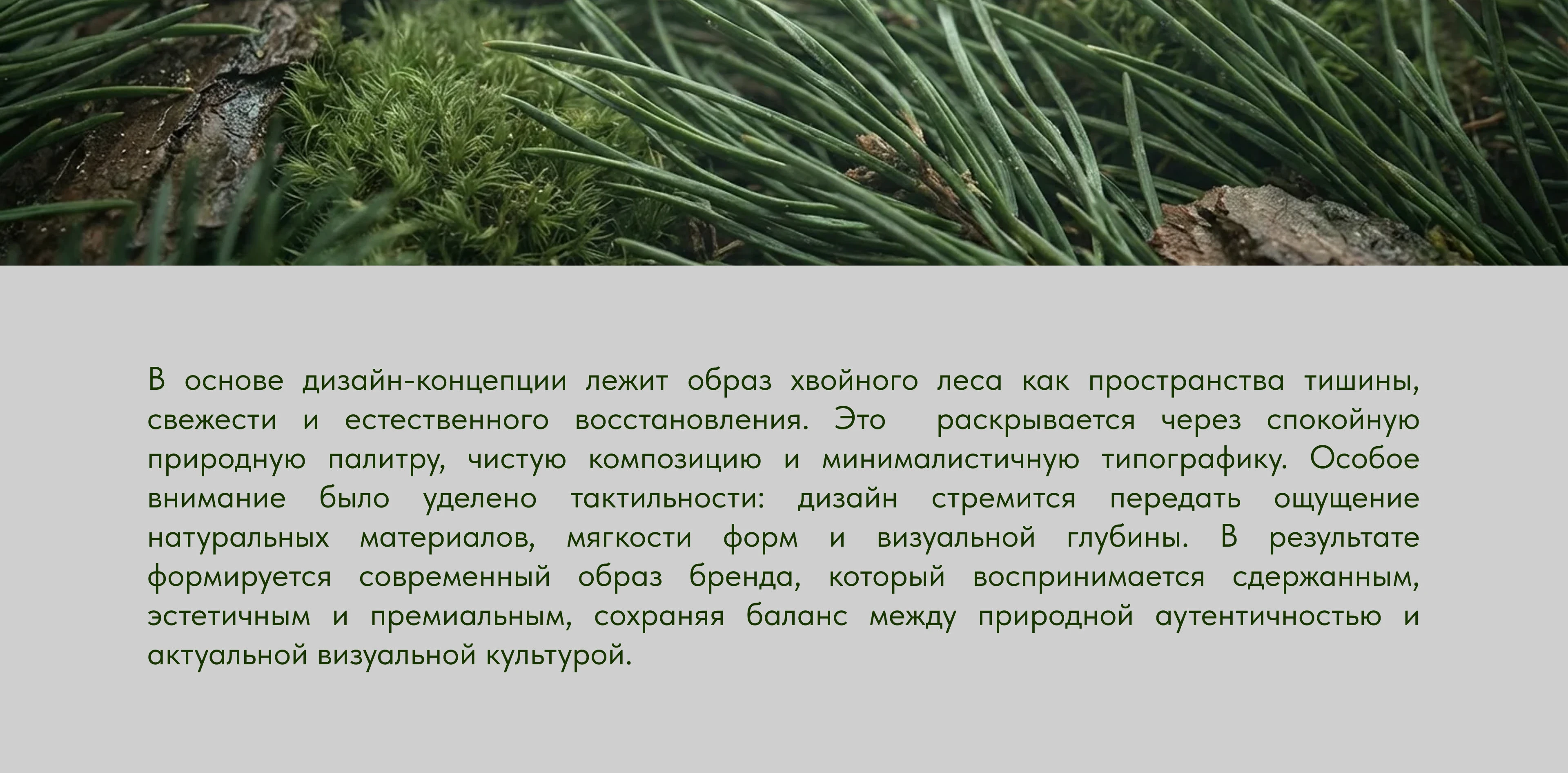 HVOYA - packaging for scrub brand — Изображение №5 — Брендинг на Dprofile