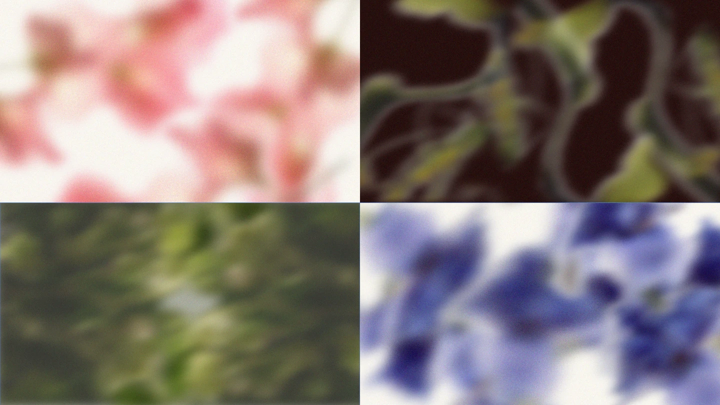 Фирменный Стиль для Бренда Премиального Постельного Белья Velinora — Изображение №7 — Брендинг на Dprofile