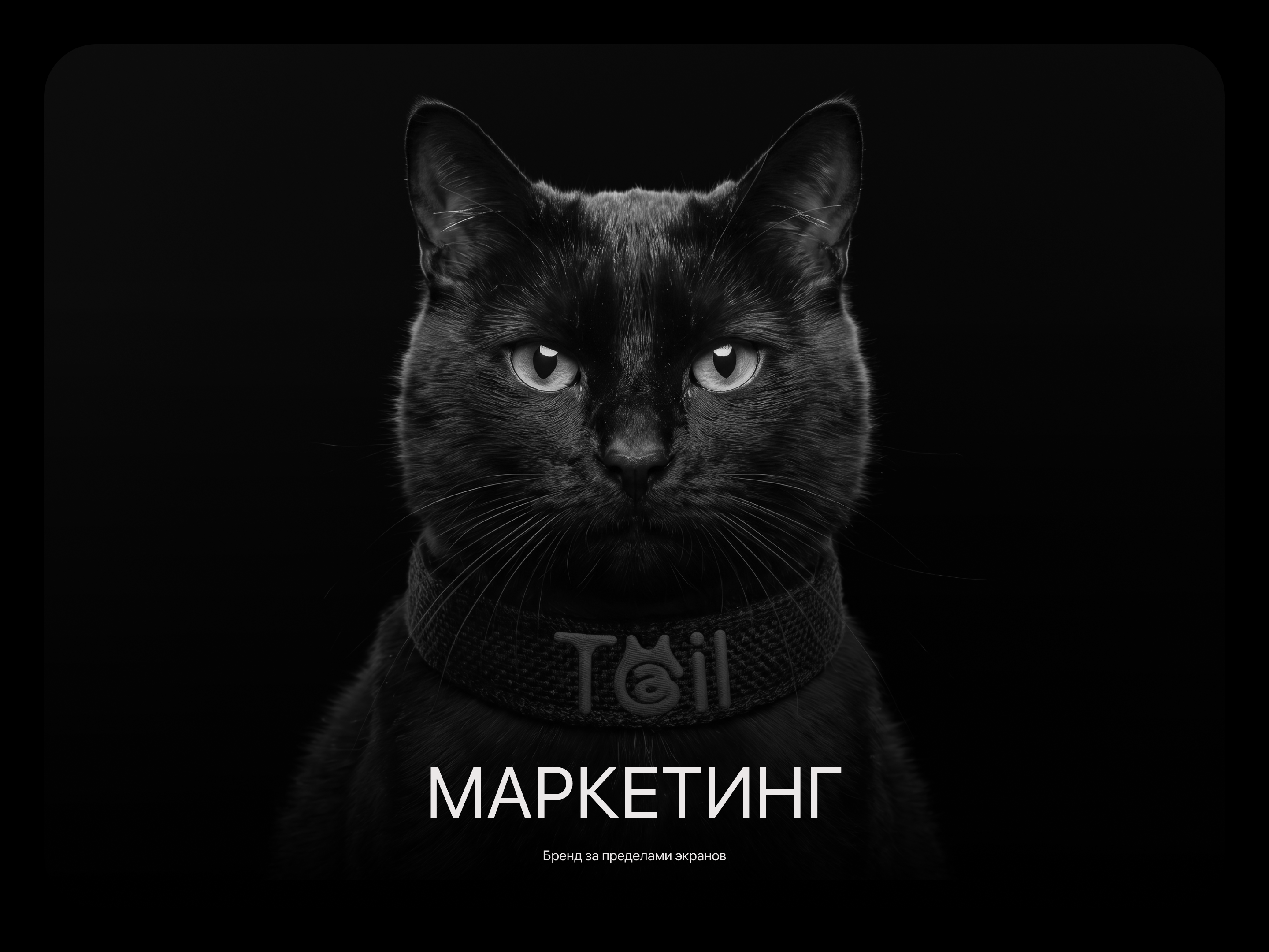 Tail - Экосистема заботы о тех, кто нам важен! — Изображение №8 — Интерфейсы, Брендинг на Dprofile