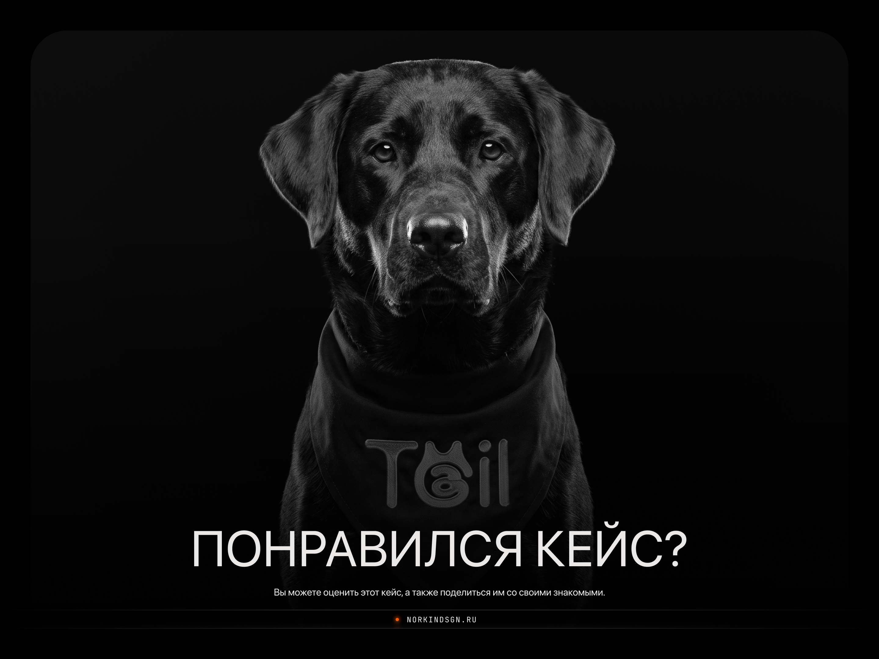 Tail - Экосистема заботы о тех, кто нам важен! — Изображение №10 — Интерфейсы, Брендинг на Dprofile