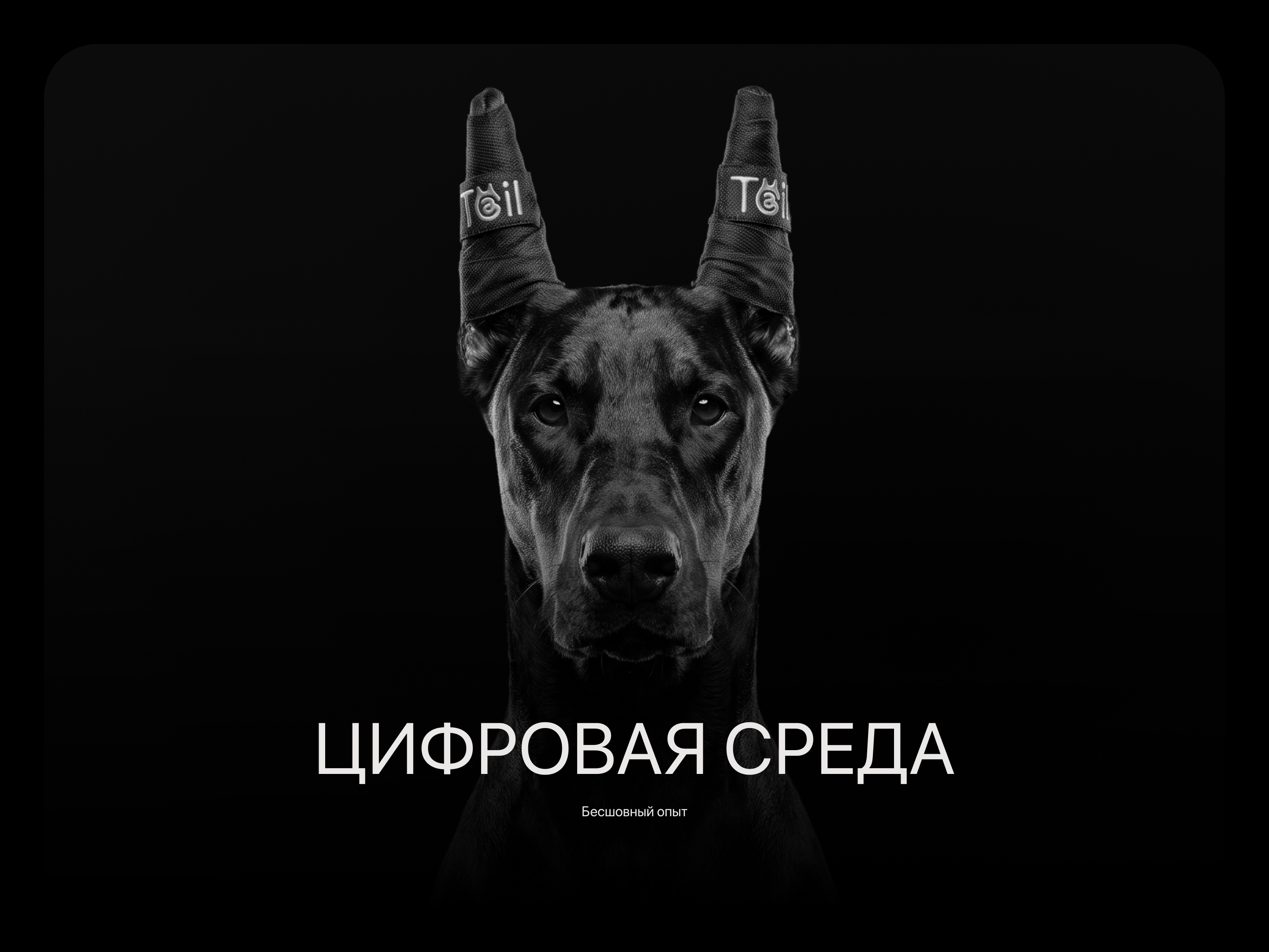 Tail - Экосистема заботы о тех, кто нам важен! — Изображение №6 — Интерфейсы, Брендинг на Dprofile