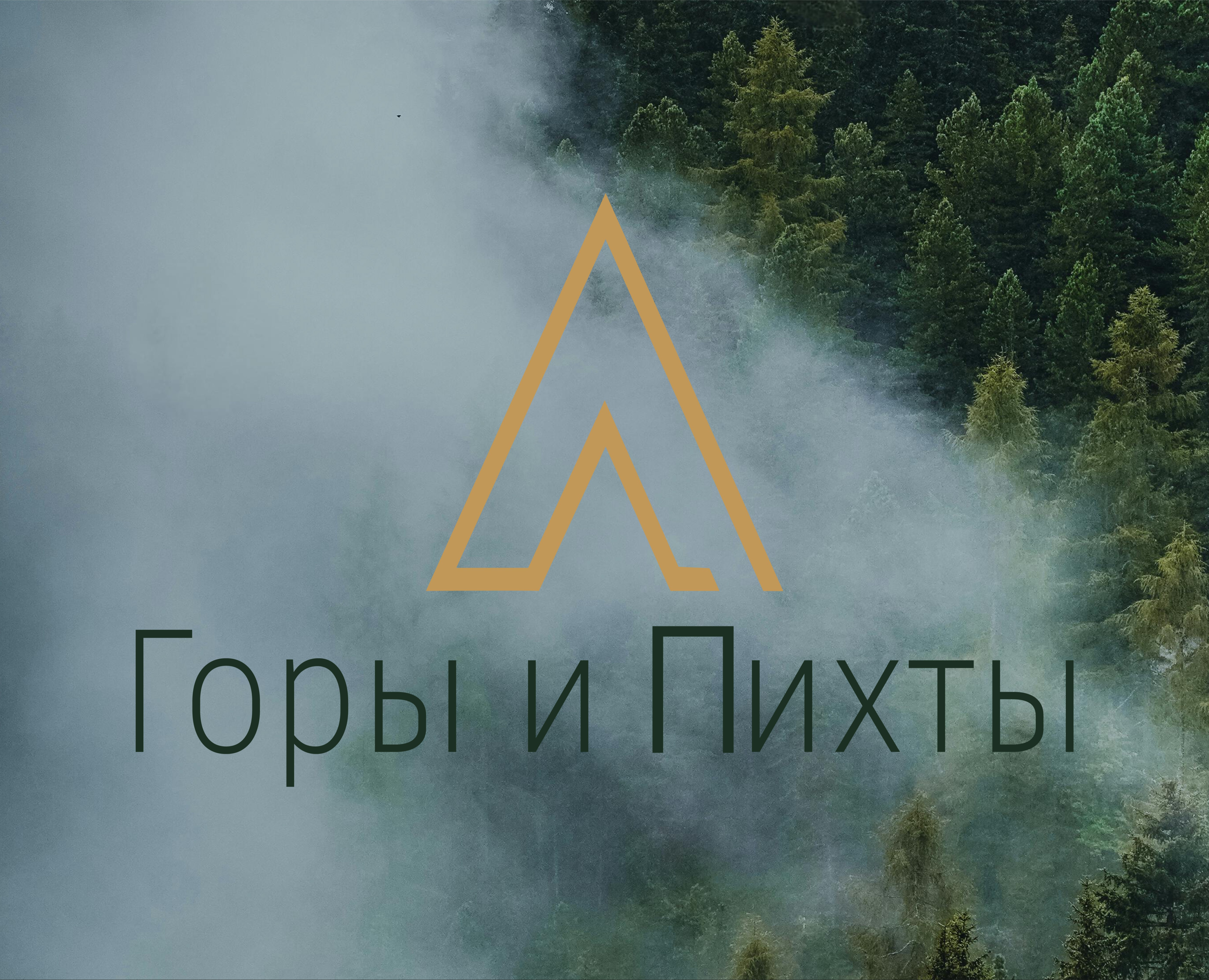 Горы и Пихты | Имидж-пакет для базы отдыха — Графика на Dprofile