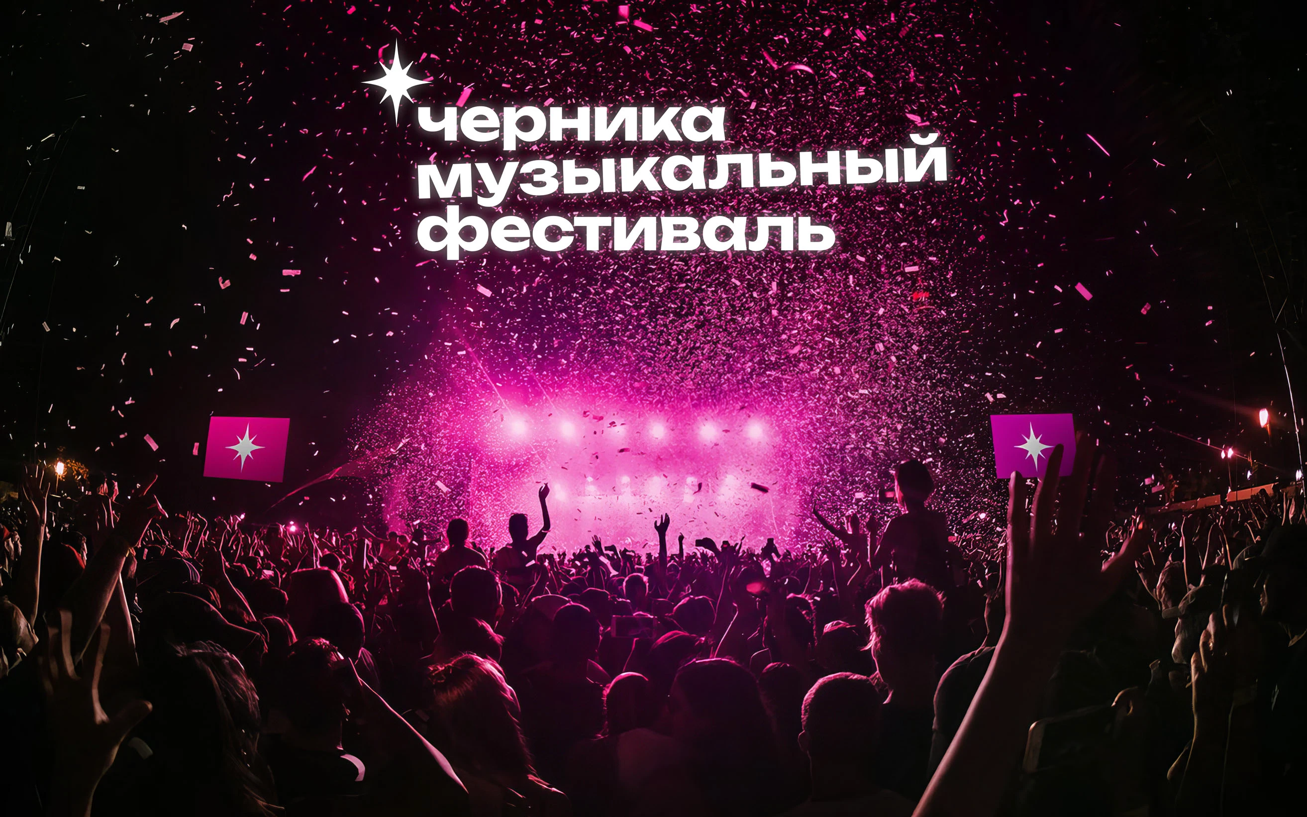 Черника - music fest — Изображение №1 — Брендинг на Dprofile