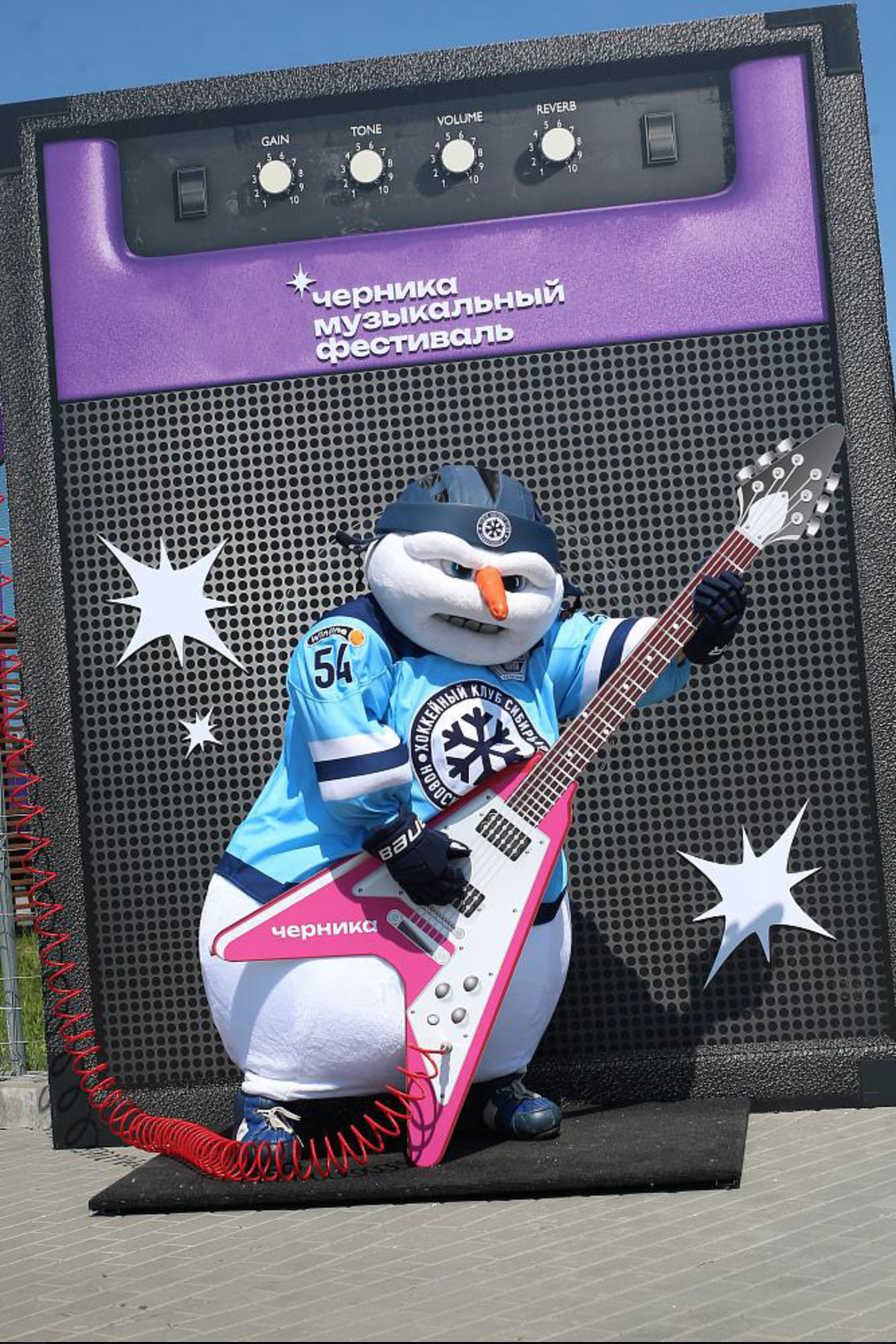 Черника - music fest — Изображение №11 — Брендинг на Dprofile