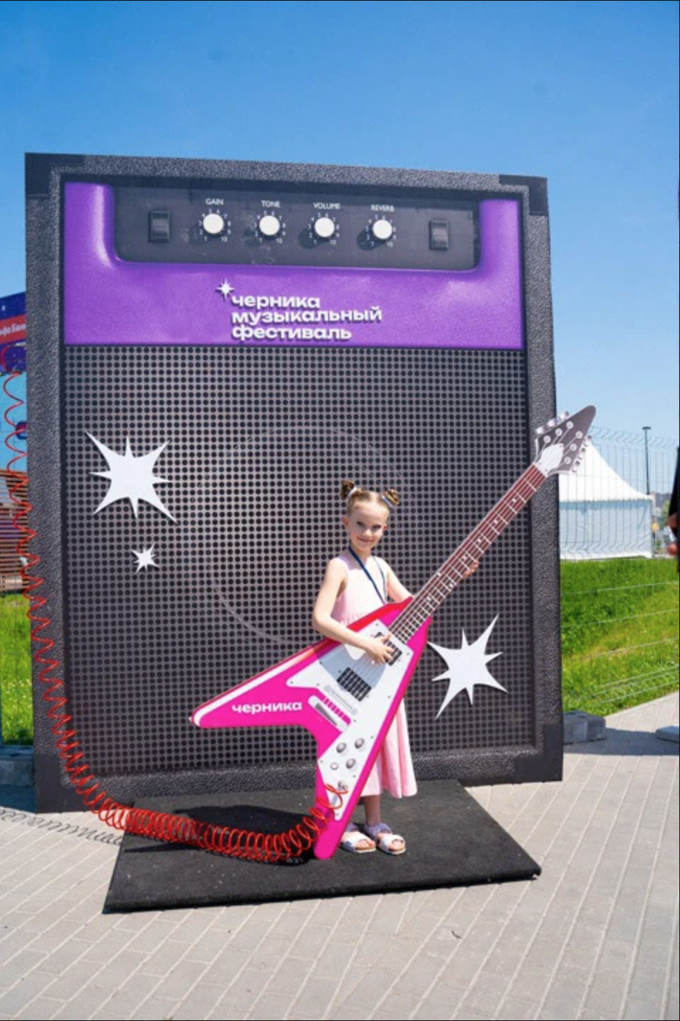 Черника - music fest — Изображение №9 — Брендинг на Dprofile