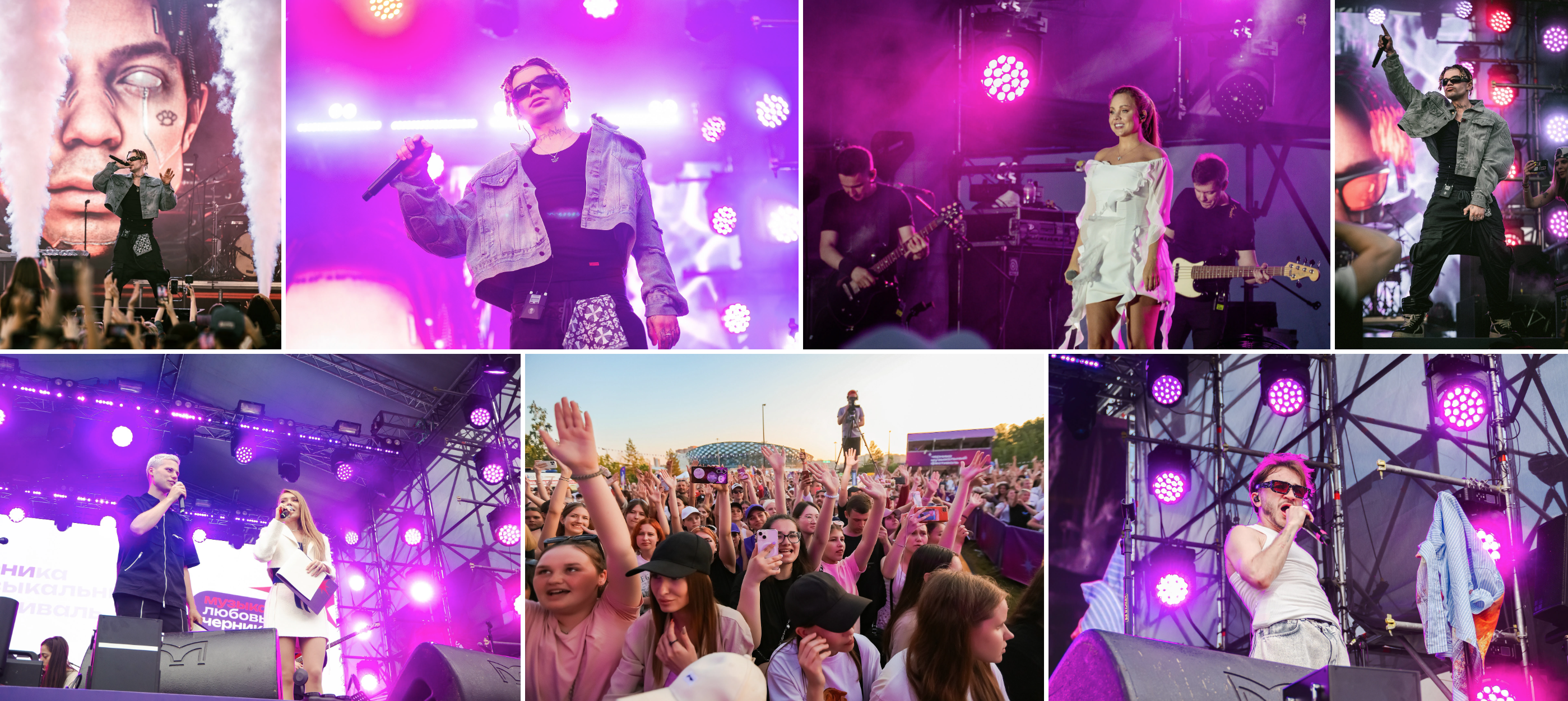 Черника - music fest — Изображение №19 — Брендинг на Dprofile