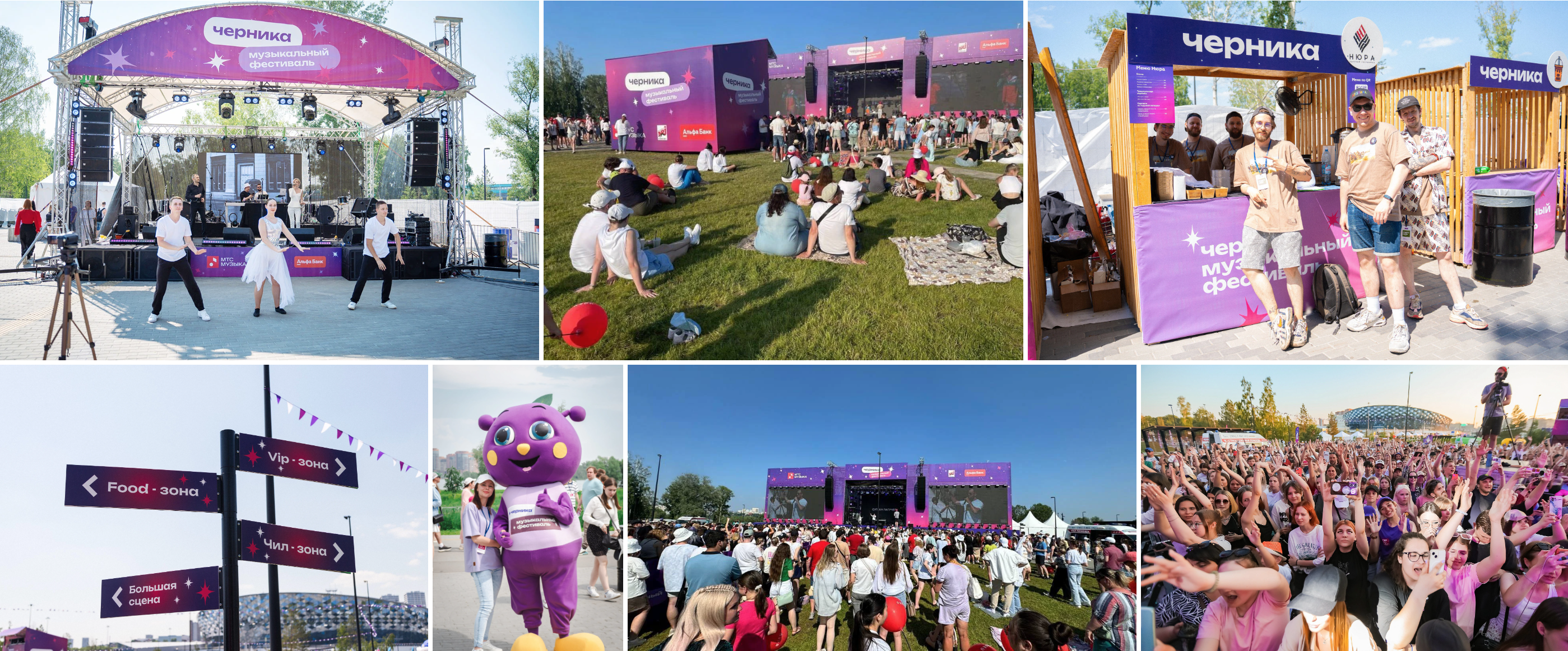 Черника - music fest — Изображение №20 — Брендинг на Dprofile