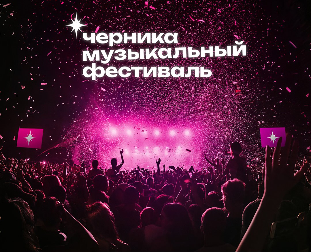 Черника - music fest — Брендинг на Dprofile