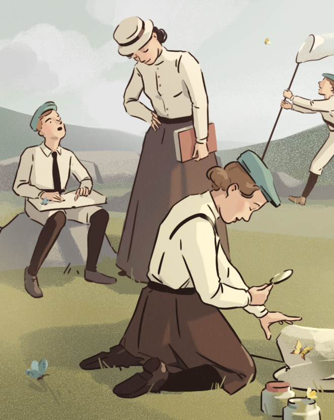 Иллюстрации к статьям: история образования / Skillbox Media — Изображение №4 — Иллюстрация, Графика на Dprofile