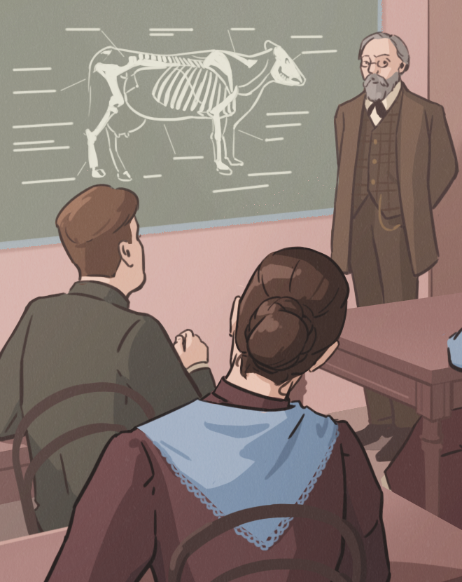 Иллюстрации к статьям: история образования / Skillbox Media — Изображение №13 — Иллюстрация, Графика на Dprofile