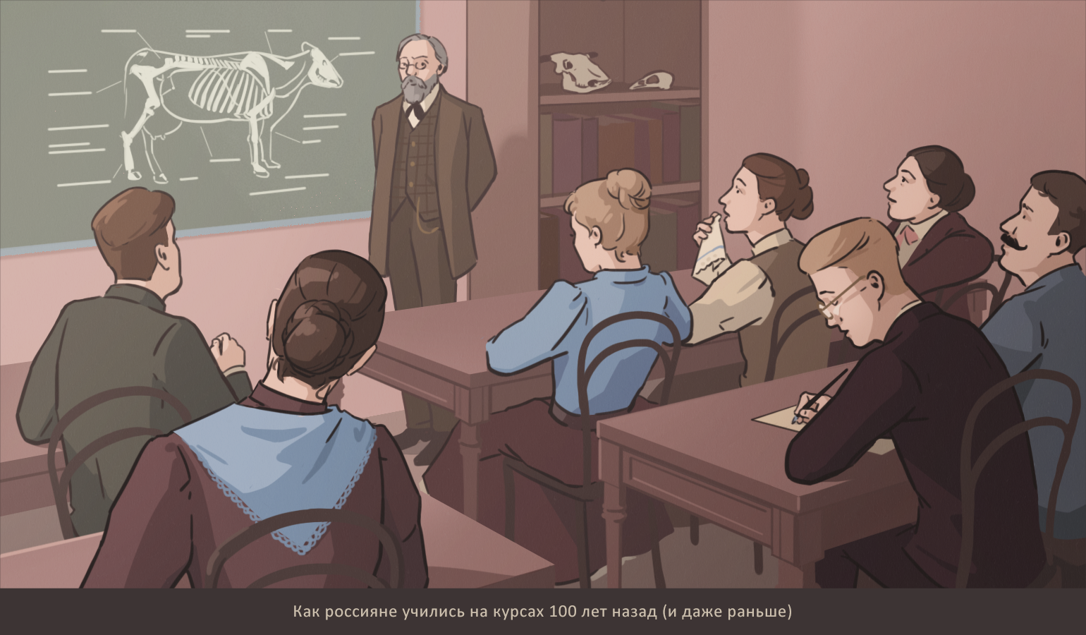 Иллюстрации к статьям: история образования / Skillbox Media — Изображение №11 — Иллюстрация, Графика на Dprofile