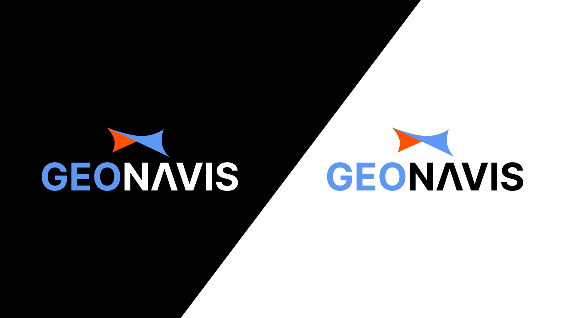 Geonavis | Брендинг — Изображение №7 — Брендинг на Dprofile