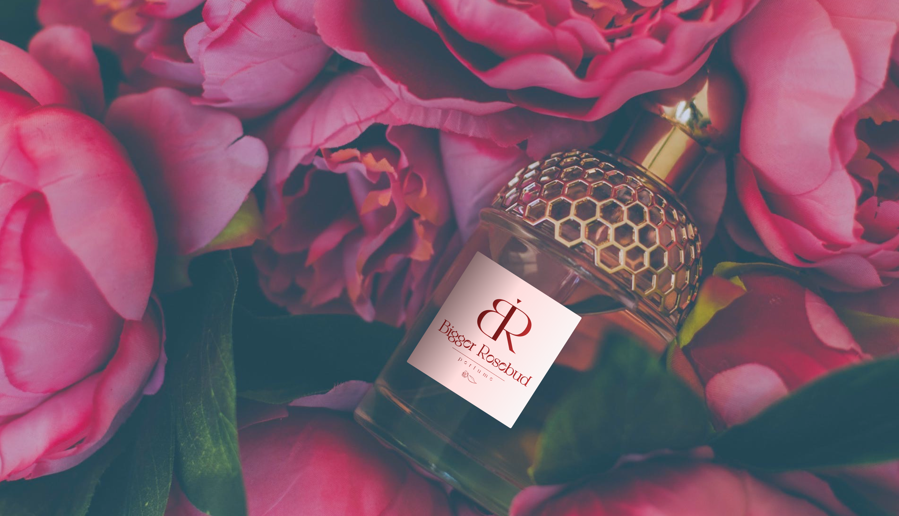 Bigger Rosebud — Изображение №5 — Брендинг, Графика на Dprofile