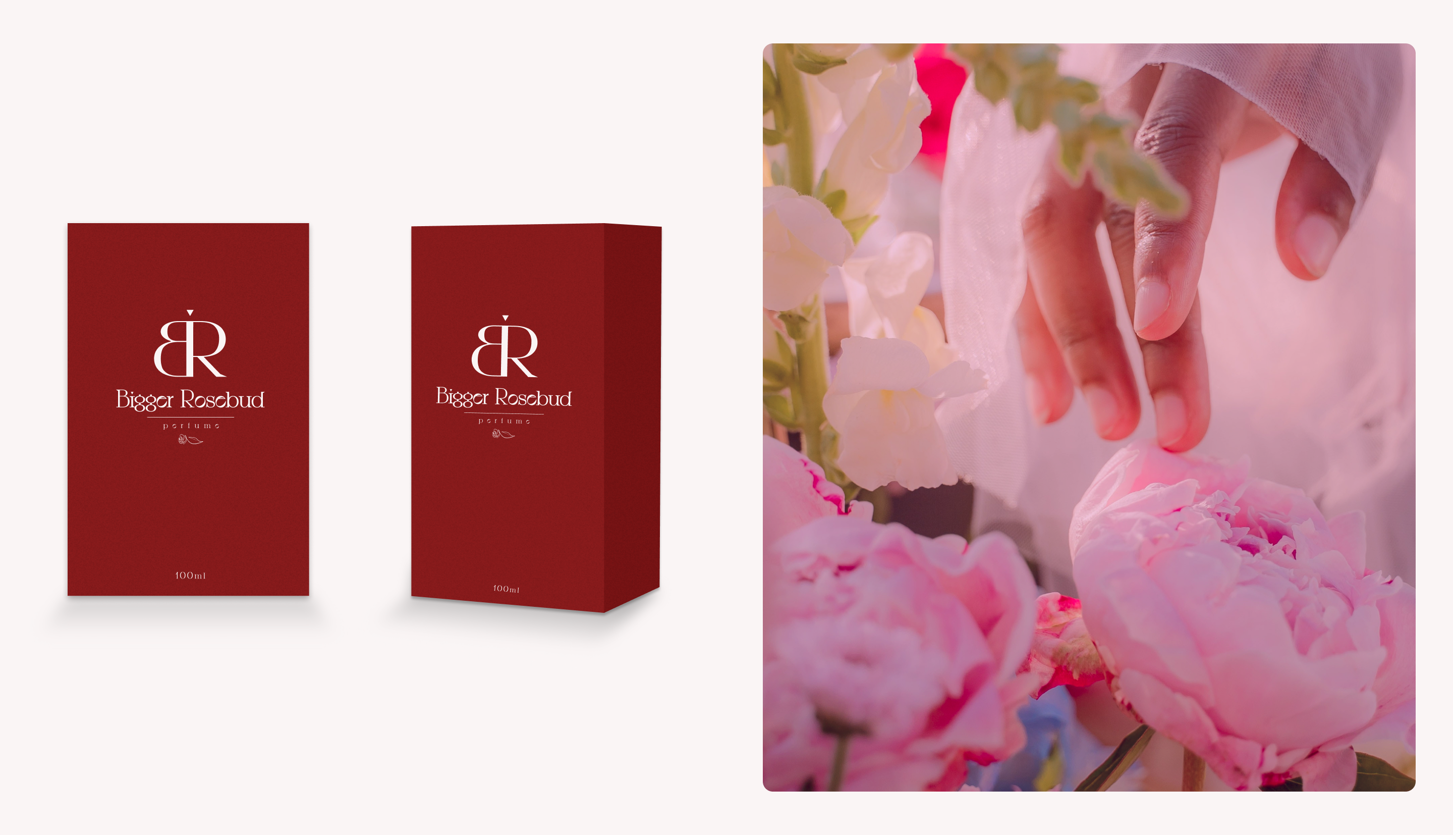 Bigger Rosebud — Изображение №4 — Брендинг, Графика на Dprofile