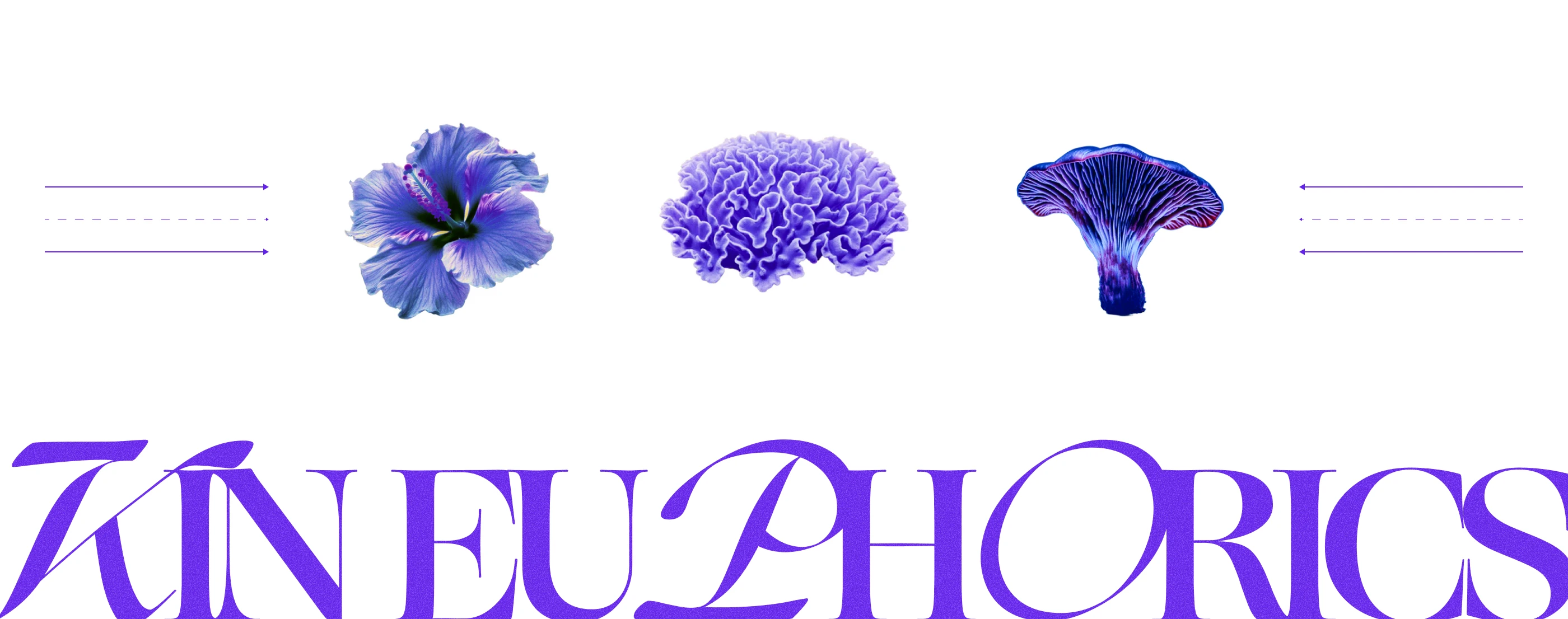 KinEuphorics | Интернет-магазин — Изображение №5 — Интерфейсы на Dprofile